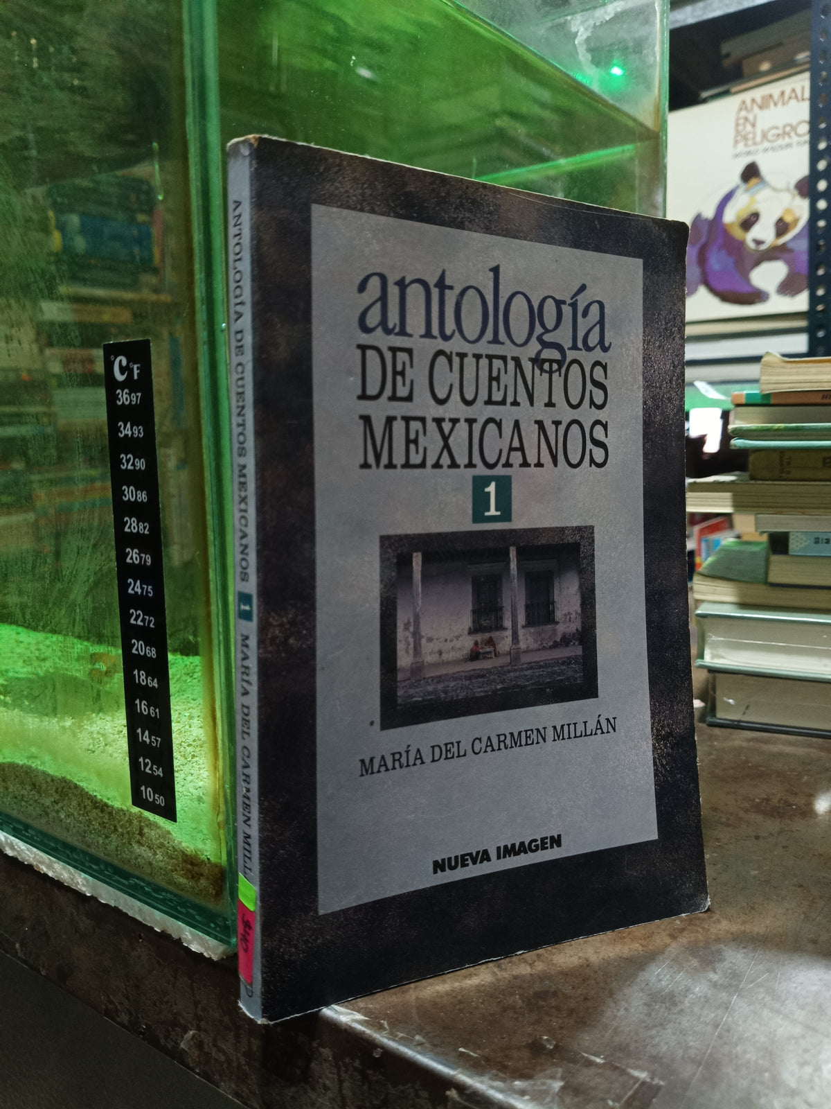 ANTOLOGIA DE CUENTOS MEXICANOS 1 POR MARIA DEL CARMEN MILLAN USADO NOVELA ALDAMA