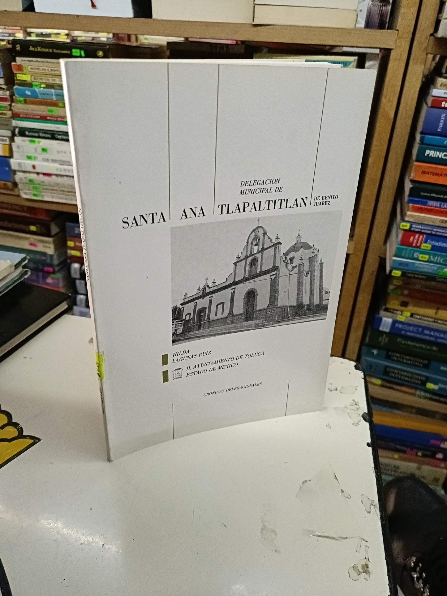 SANTA ANA TLAPALTITLAN POR HILDA LAGUNAS RUIZ USADO HISTORIA LITERARIO 207