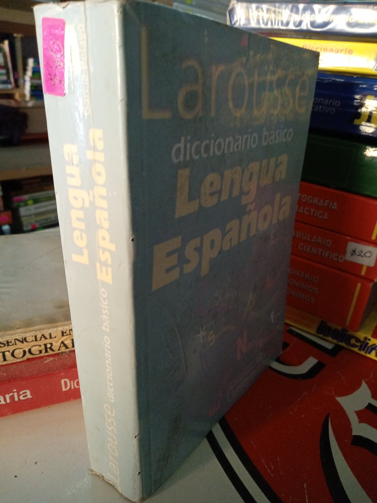 DICCIONARIO BASICO LENGUA ESPAÑOLA USADO EDUCACIÓN LITERARIO 207