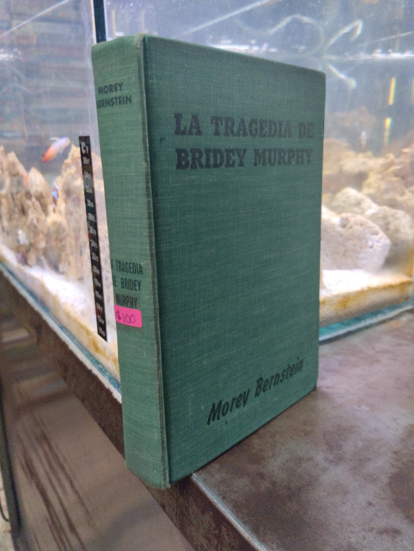 LA TRAGEDIA DE BRIDEY MURPHY POR MOREY BERNSTEIN USADO NOVELAS ALDAMA