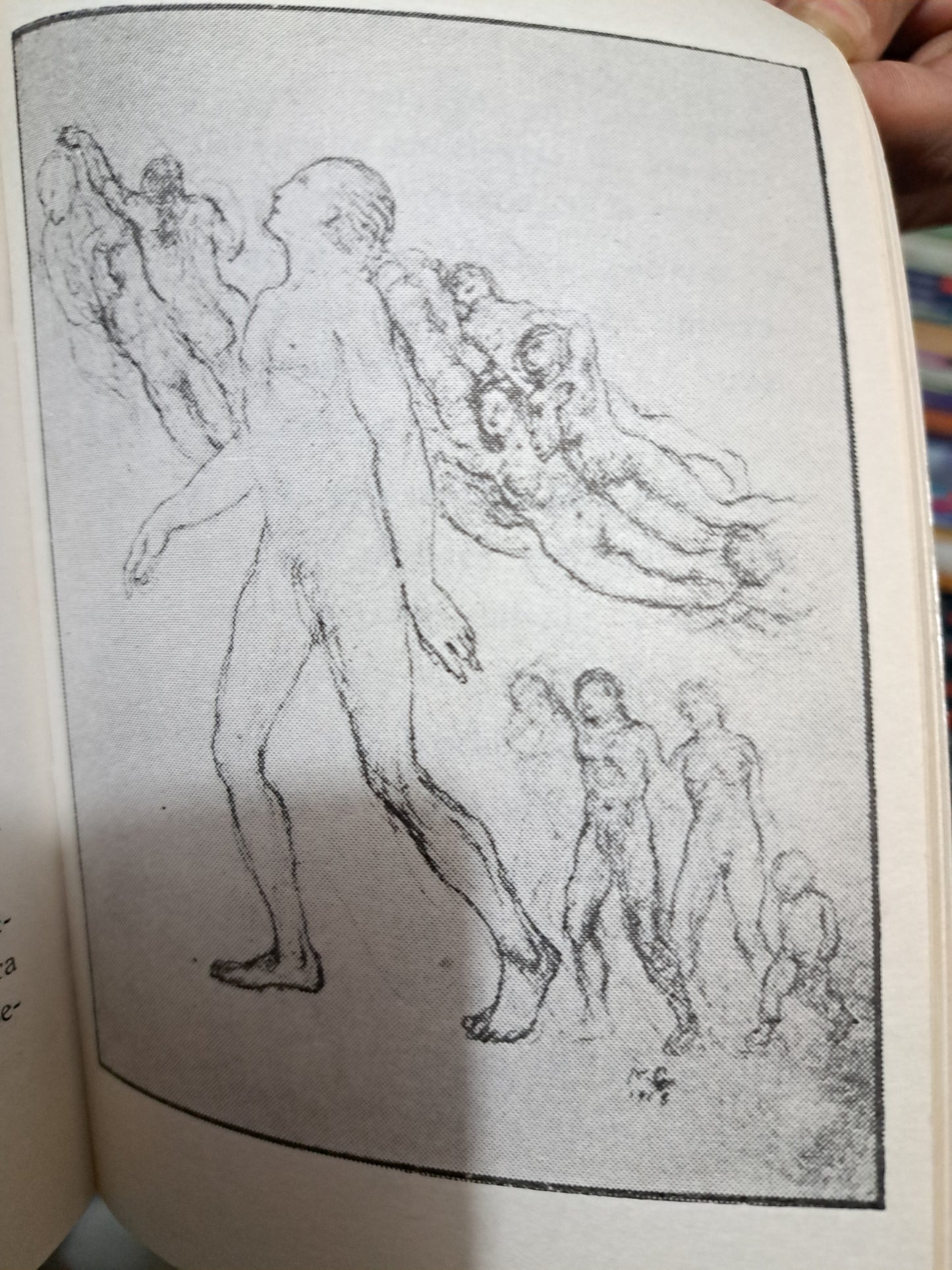 EL LOCO GIBRAN JALIL GIBRAN USADO NOVELA JUÁREZ