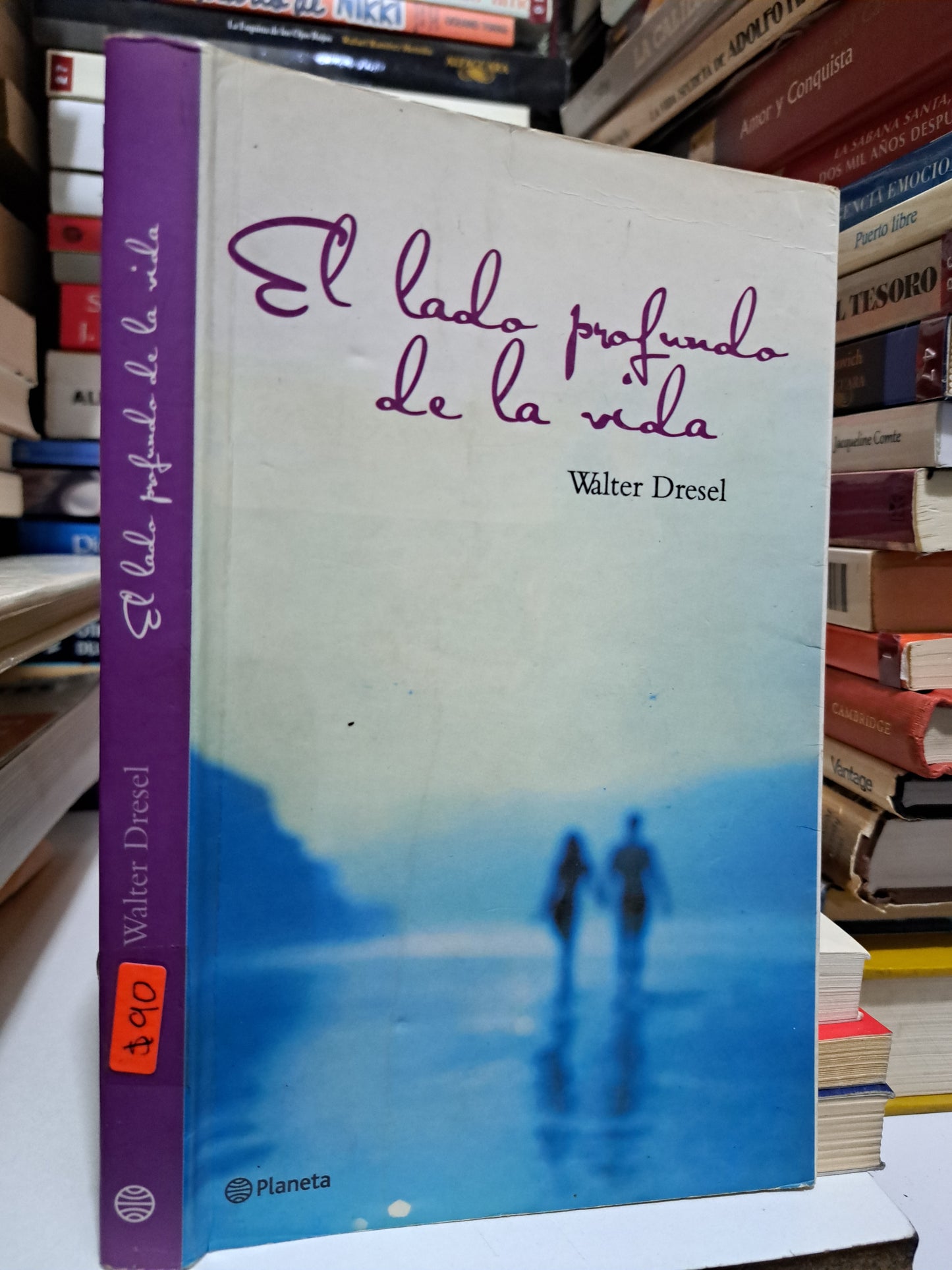 EL LADO PROFUNDO DE LA VIDA WALTER DRESEL USADO NOVELA JUÁREZ