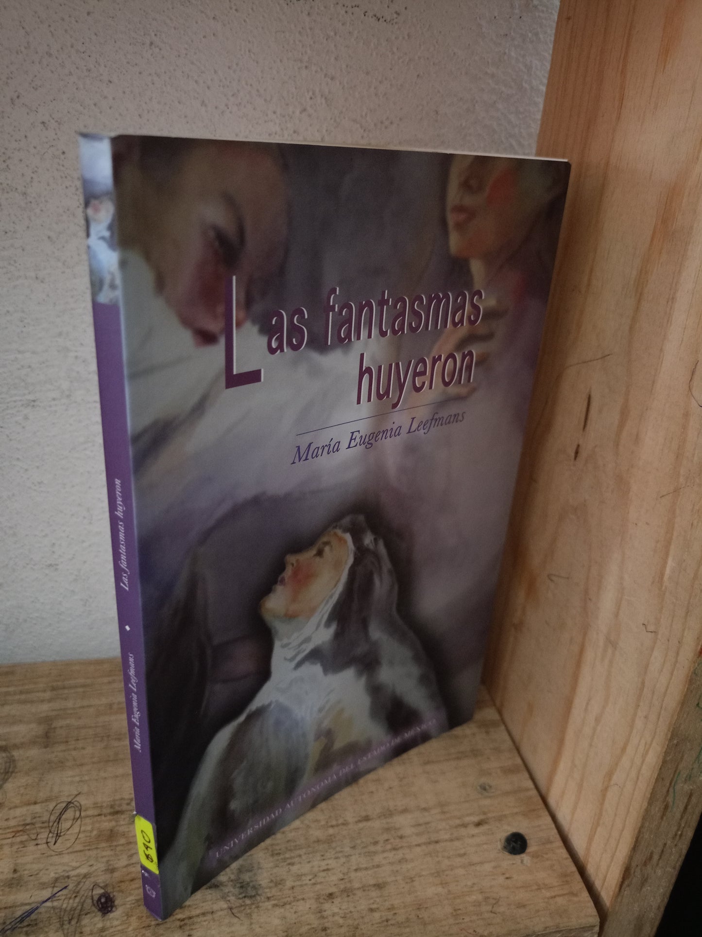 LOS FANTASMAS HUYERON POR MARIA EUGENIA LEEFMANS USADO NOVELA LITERARIO 305