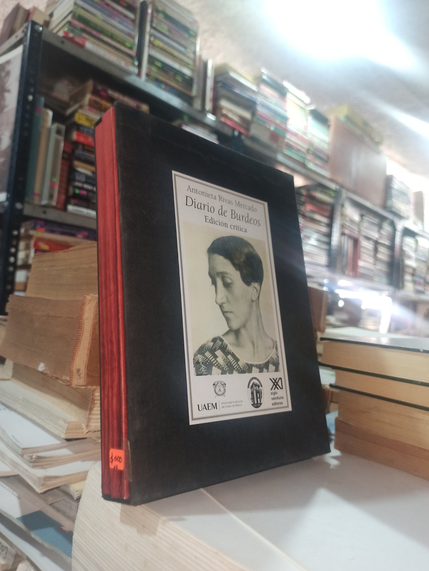 DIARIO DE BURDEOS POR ANTONIETA RIVAS MERCADO USADO ANTIGUOS ALDAMA 2X$500