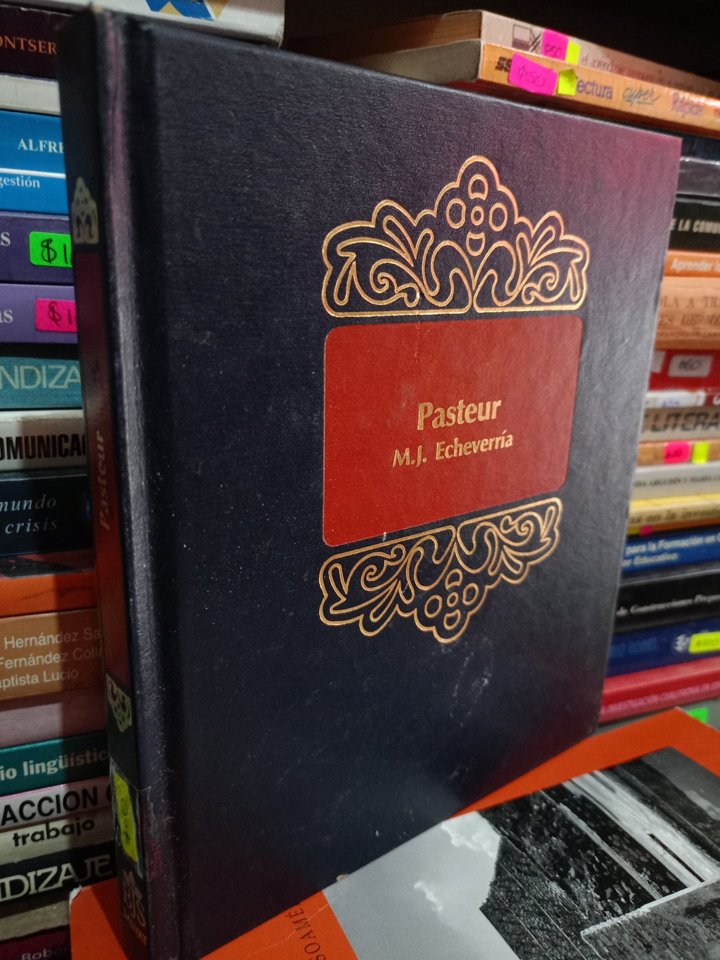PASTEUR POR M.J ECHEVERRIA USADO NOVELA LITERARIO 305