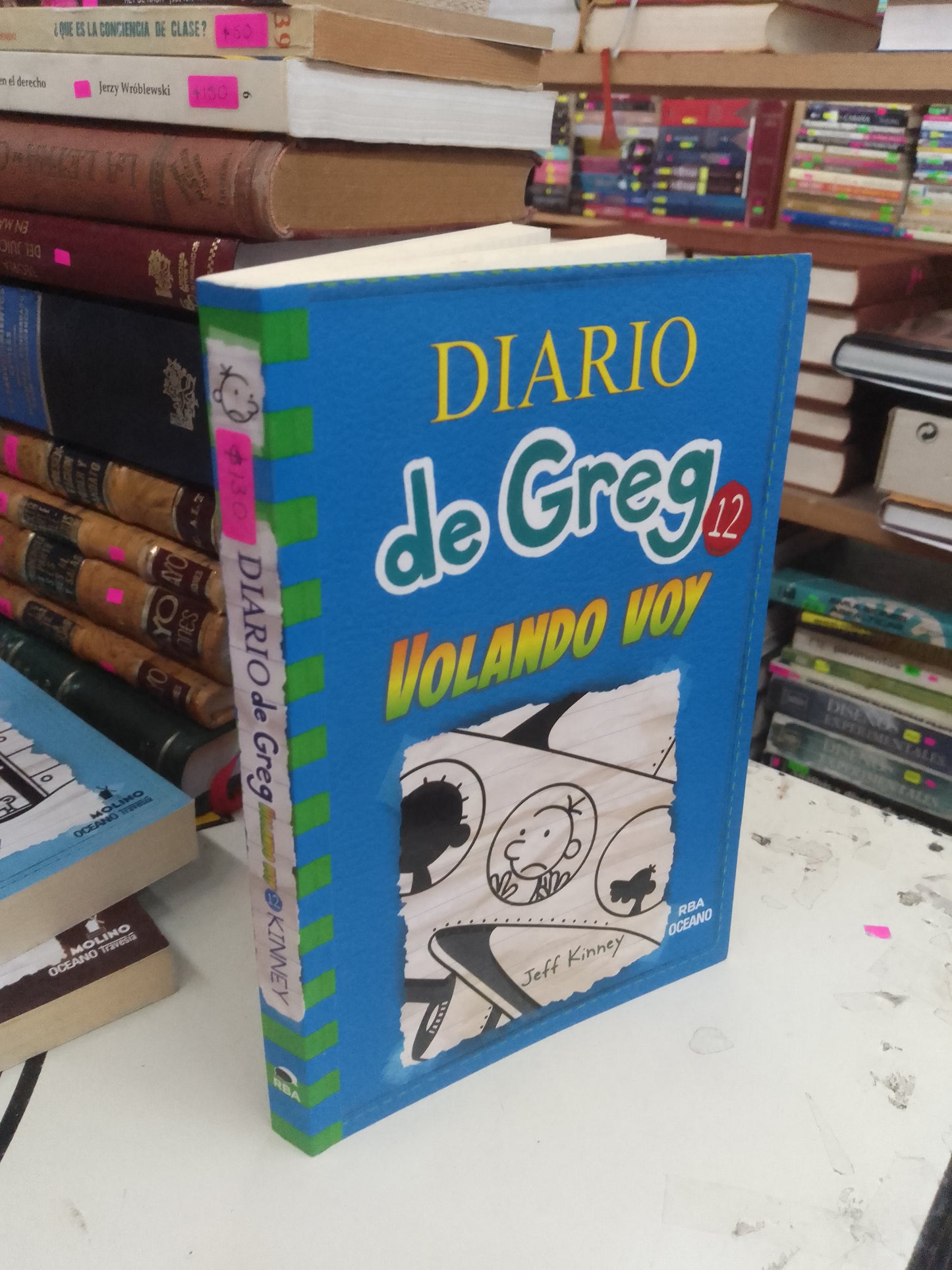 DIARIO DE GREG 12: VOLANDO VOY POR JEFF KINNEY USADO INFANTIL LITERARIO 207