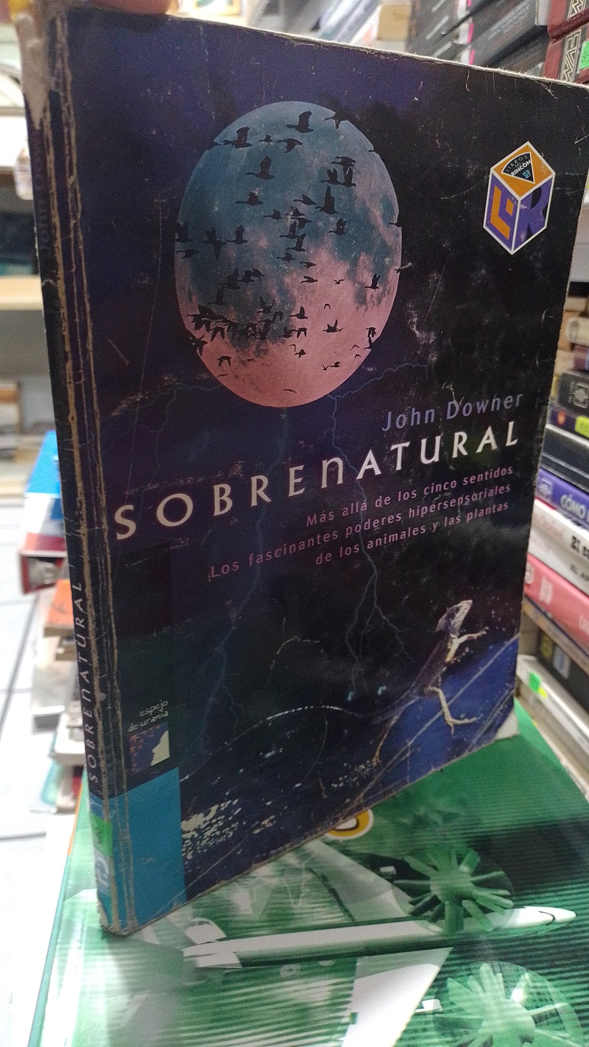 SOBRENATURAL POR JOHN DOWNER USADO INFANTIL JUAREZ 507