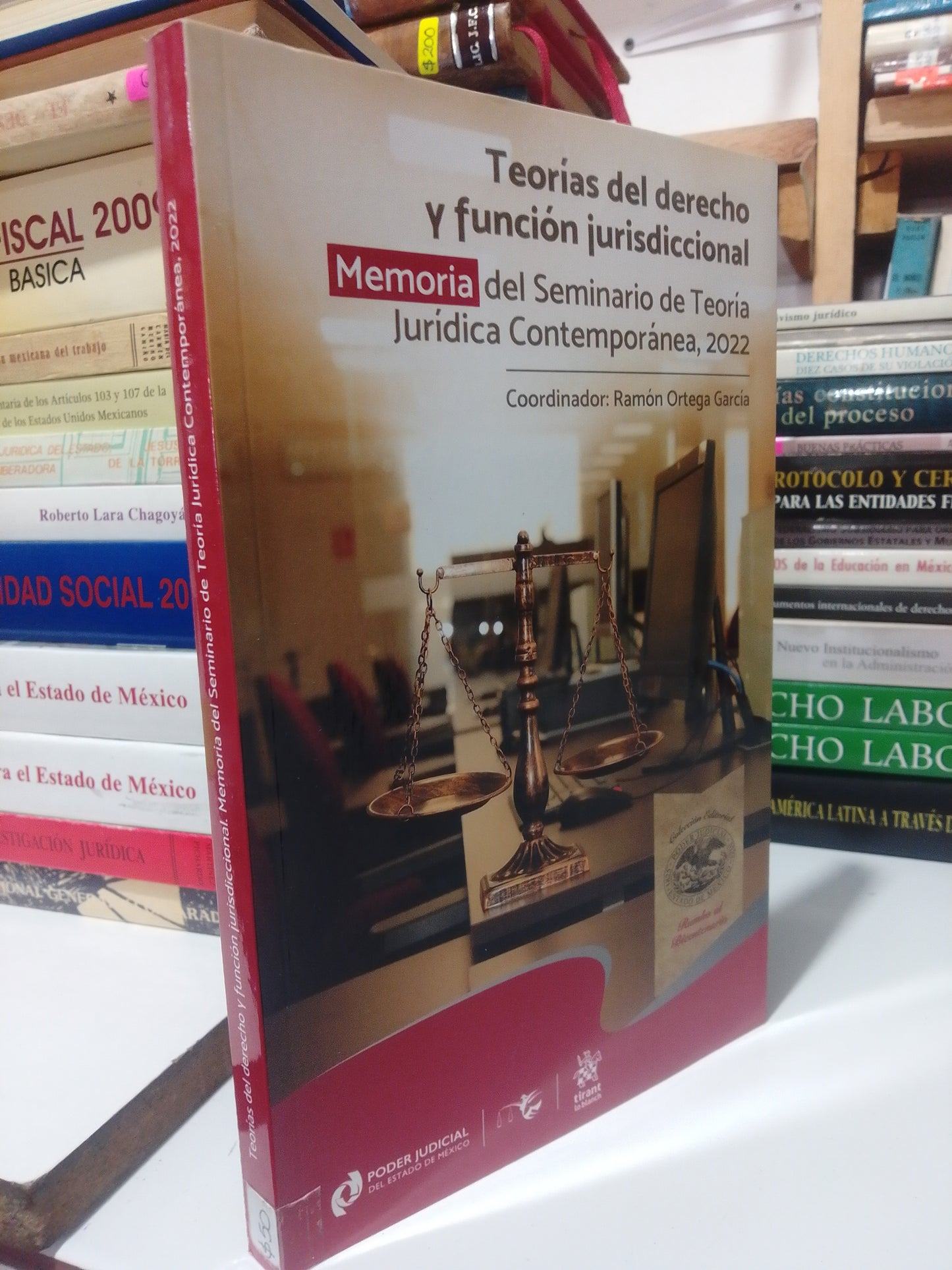 TEORÍAS DEL DERECHO Y FUNCIÓN JURISDICCIONAL POR RAMÓN ORTEGA GARCÍA USADO DERECHO JUÁREZ