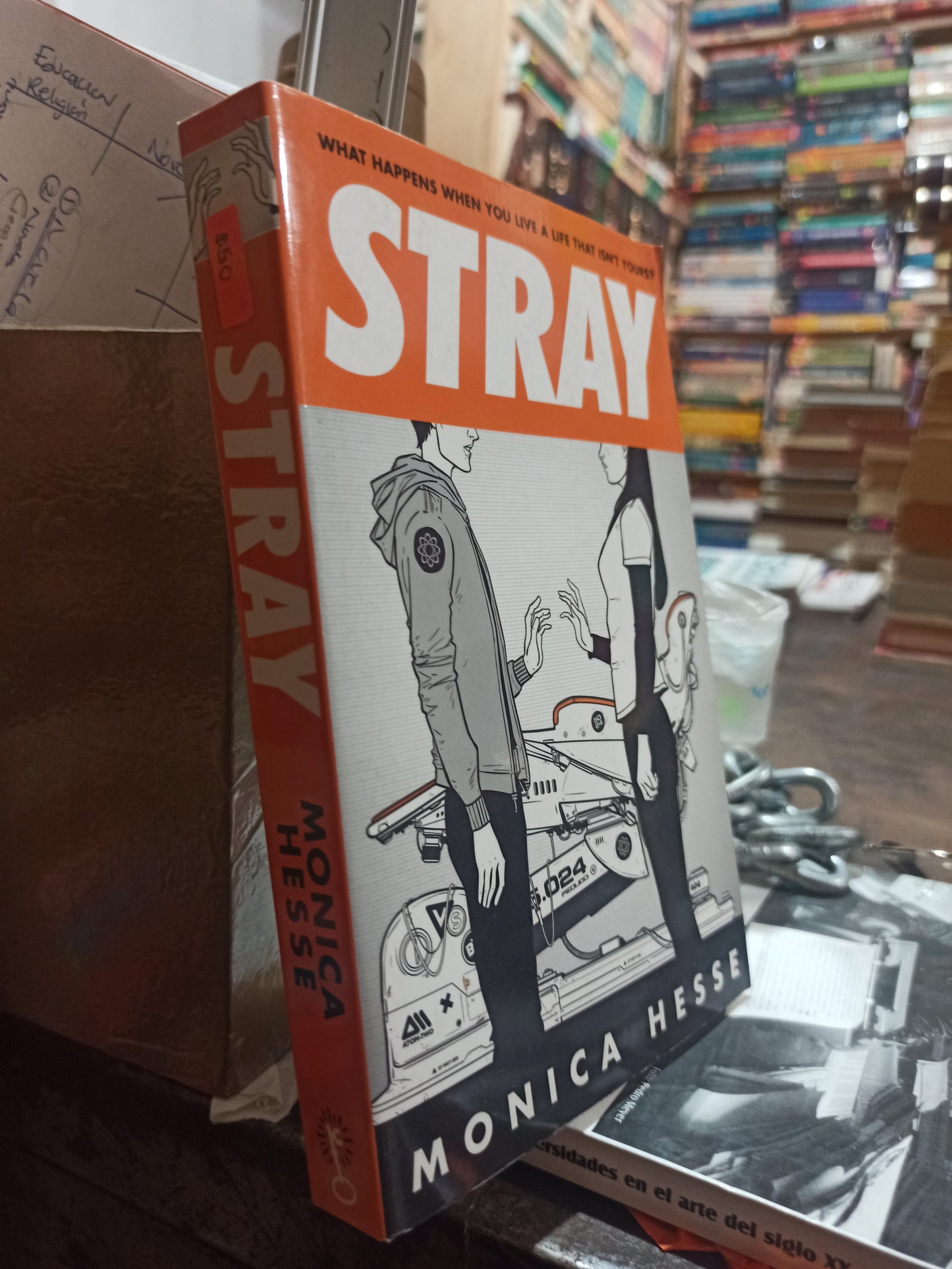 STRAY POR MONICA HESSE USADO IDIOMAS ALDAMA