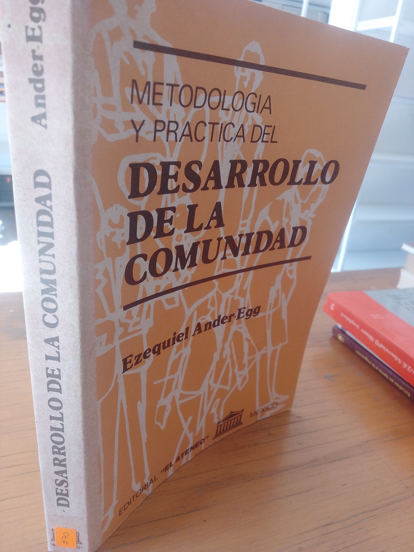 METODOLOGIA PRACTICA DEL DESARROLLO DE LA COMUNIDAD EZEQUIEL ANDER EGG USADO SOCIOLOGIA JUAREZ 515