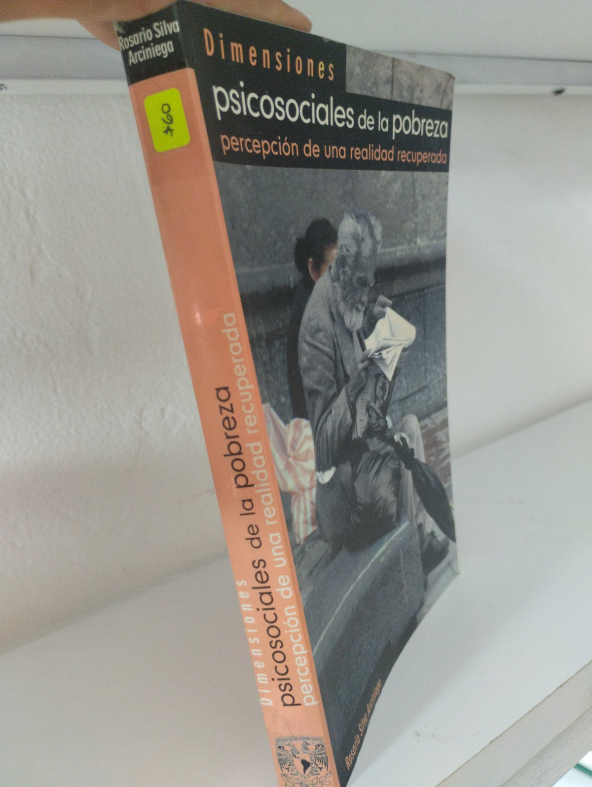 DIMENSIONES PSICOSOCIALES D ELA POBREZA PERCEPCION DE UNA REALIDAD RECUPERADA ROSARIO SILVA ARCINIEGA USADO PSICOLOGIA JUAREZ 515