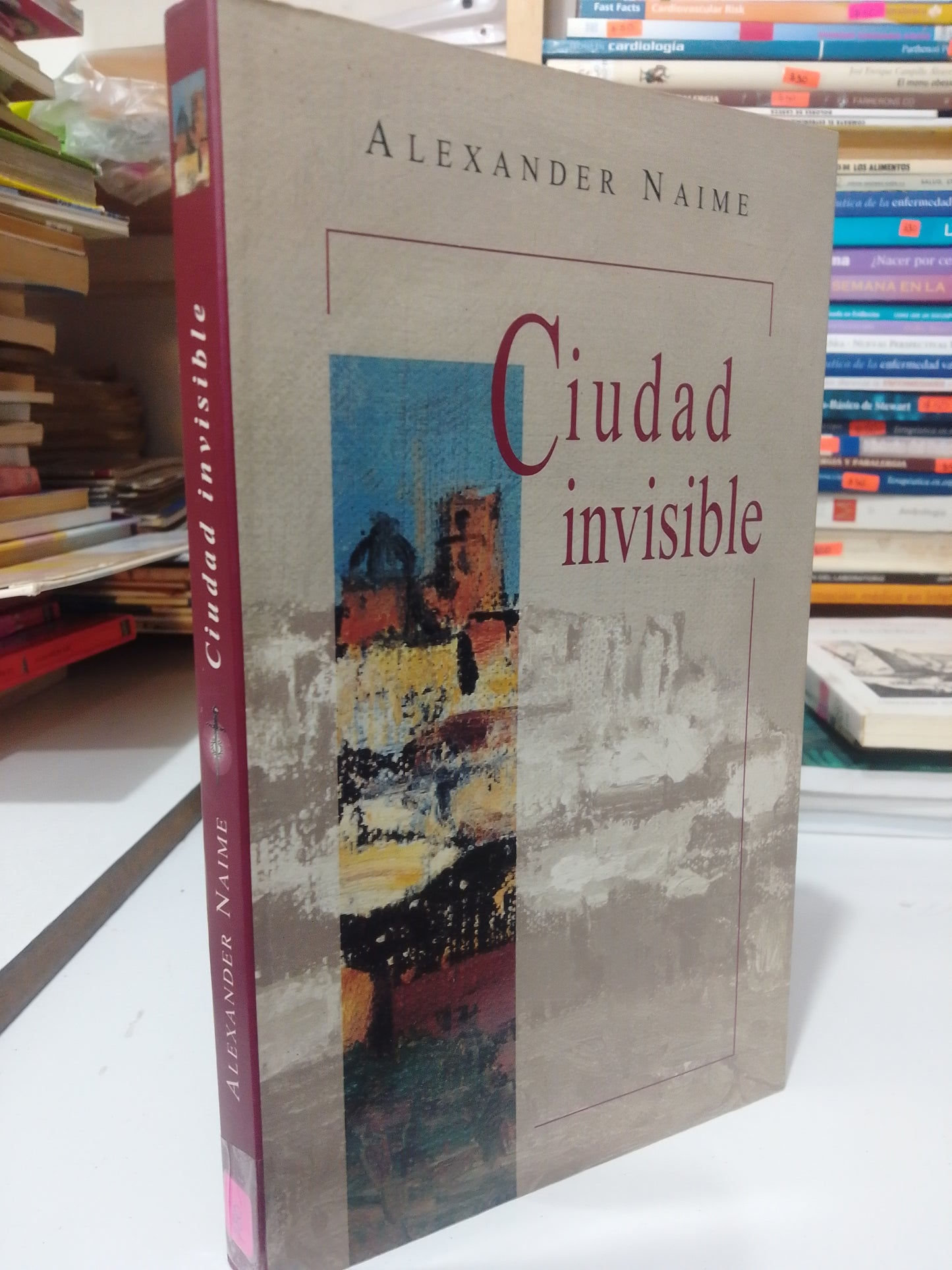 CIUDAD INVISIBLE POR ALEXANDER NAIME USADO EDO MEX JUAREZ