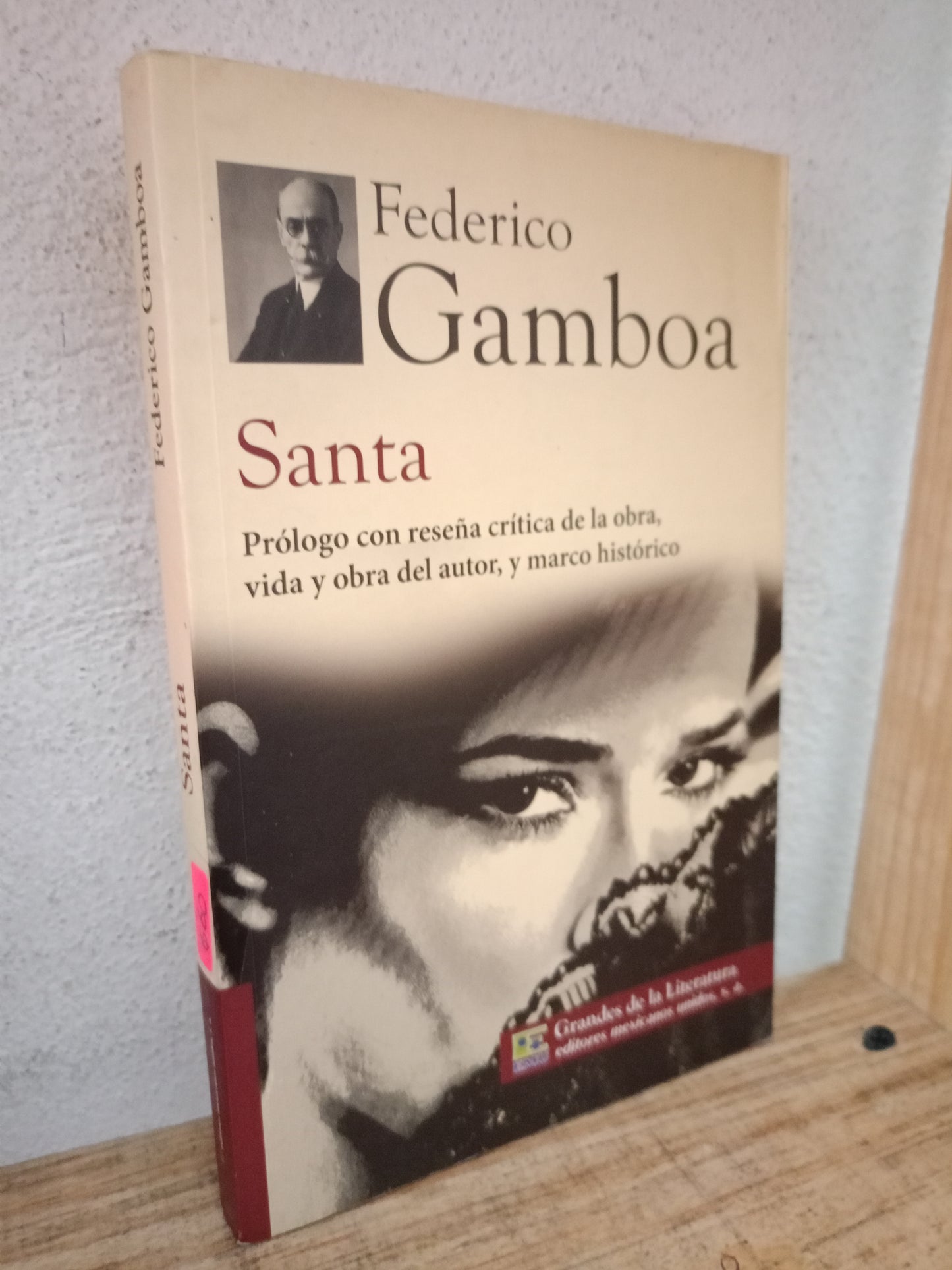 SANTA FEDERICO GAMBOA USADO NOVELA LITERARIO 305