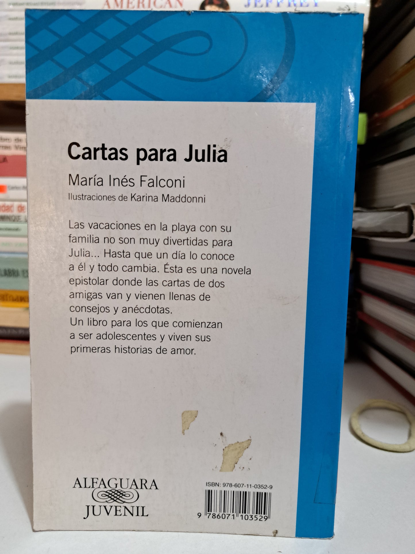 CARTAS PARA JULIA MARÍA INÉS FALCONI USADO INFANTIL JUÁREZ