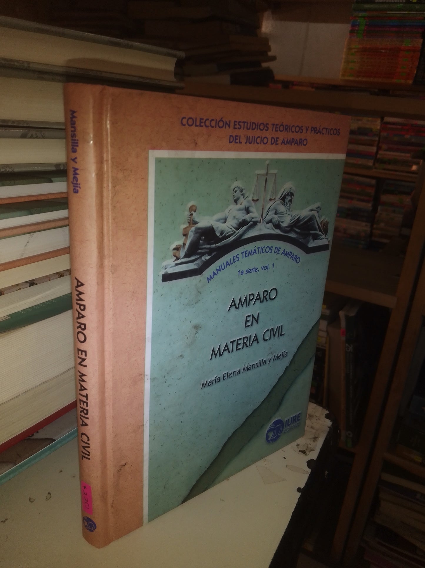 AMPARO EN MATERIA CIVIL POR MARÍA ELENA MANSILLA Y MEJÍA USADO DERECHO LITERARIO 207