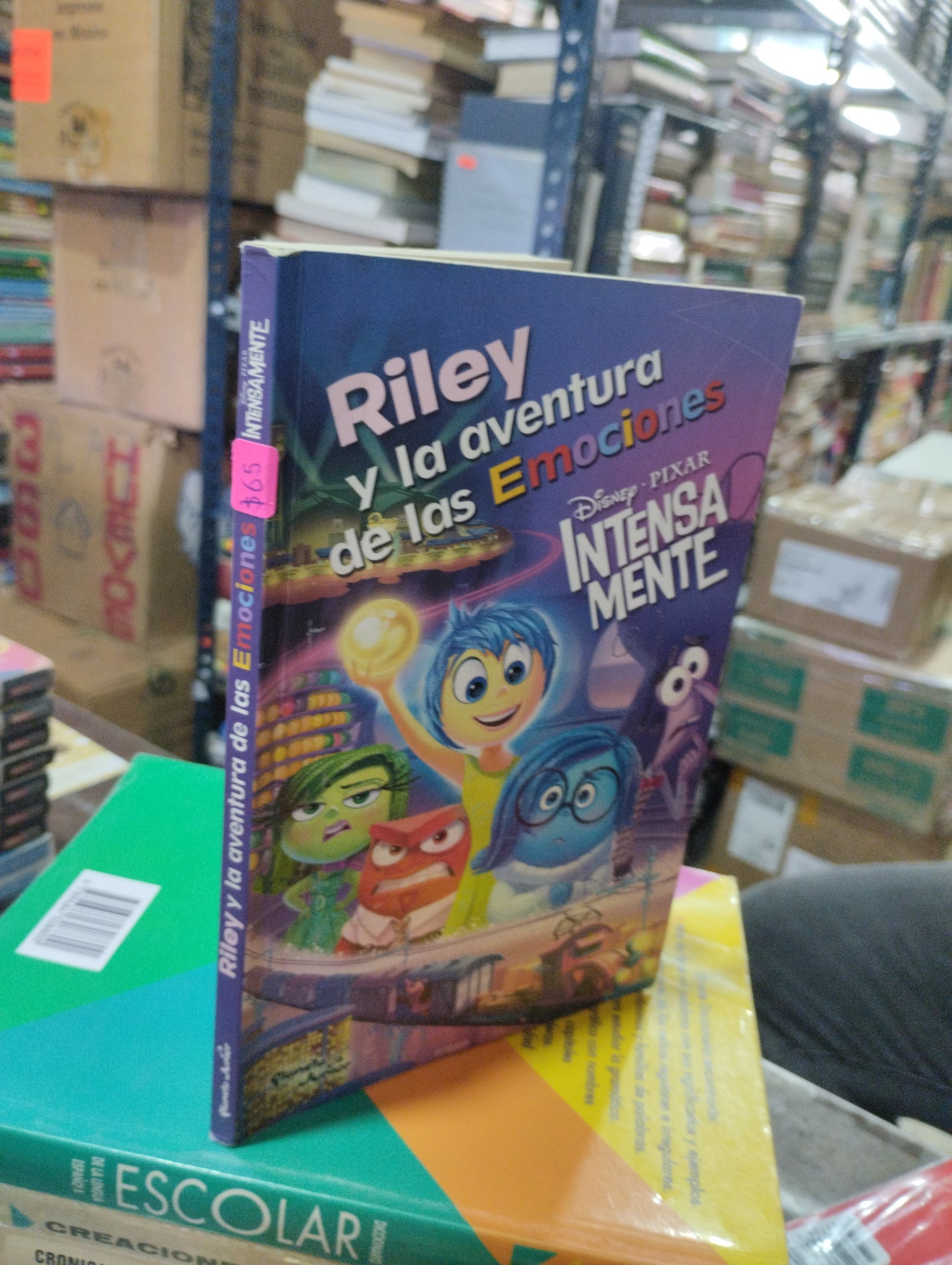 RILEY Y LA ACENTURA DE LAS EMOCIONES POR PAOLA GOMEZ USADO INFANTIL ALDAMA