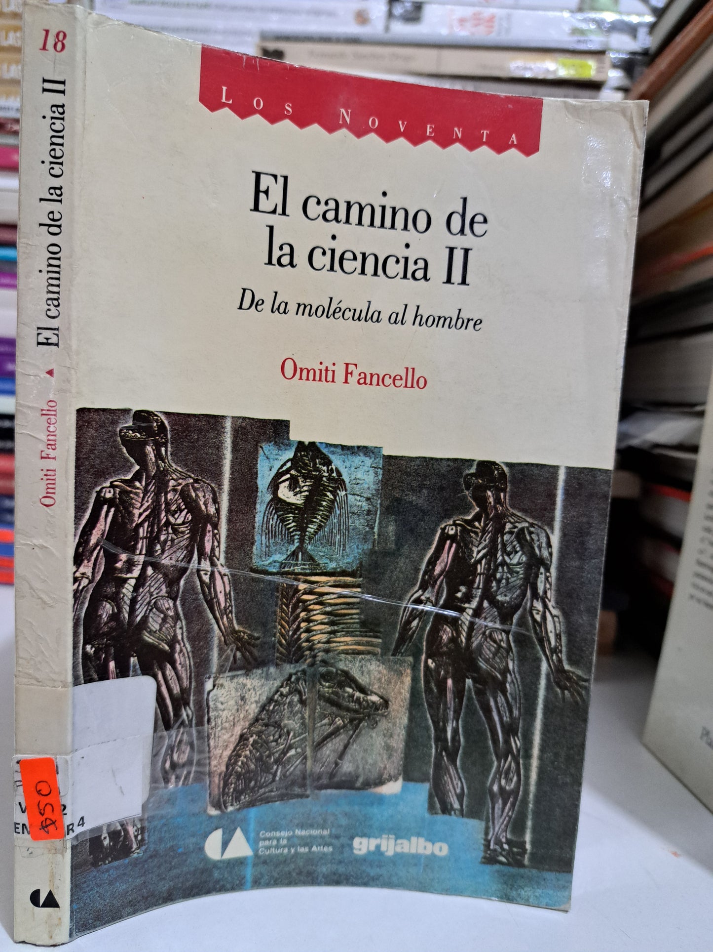 EL CAMINO DE LA CIENCIA II DE LA MOLÉCULA AL HOMBRE OMITI FANCELLO USADO NOVELA JUÁREZ