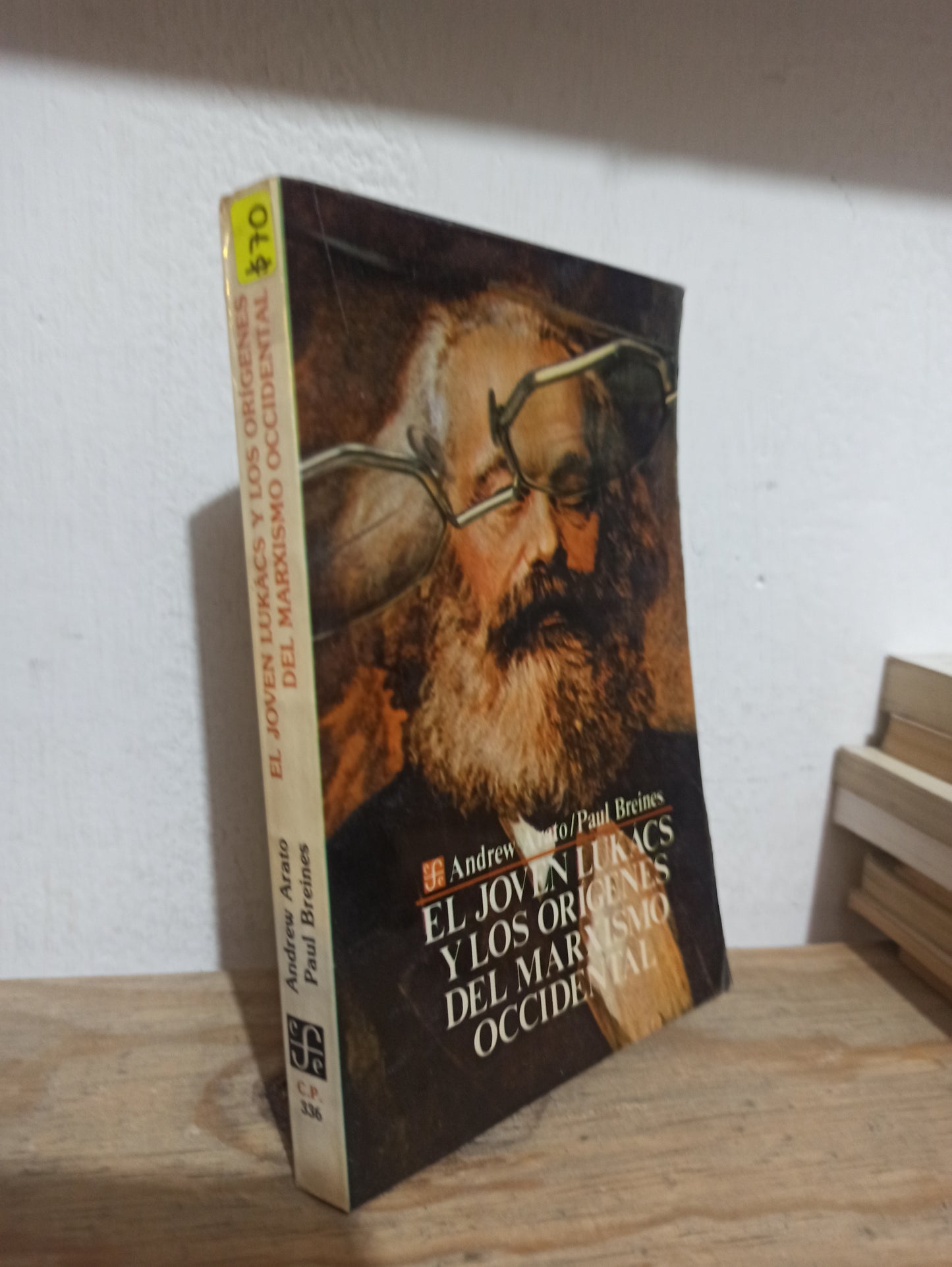 LOS JOVENES Y LOS ORIGENES DEL MARXISMO OCCIDENTAL POR ANDREW ARATO USADO SOCIOLOGIA JUÁREZ