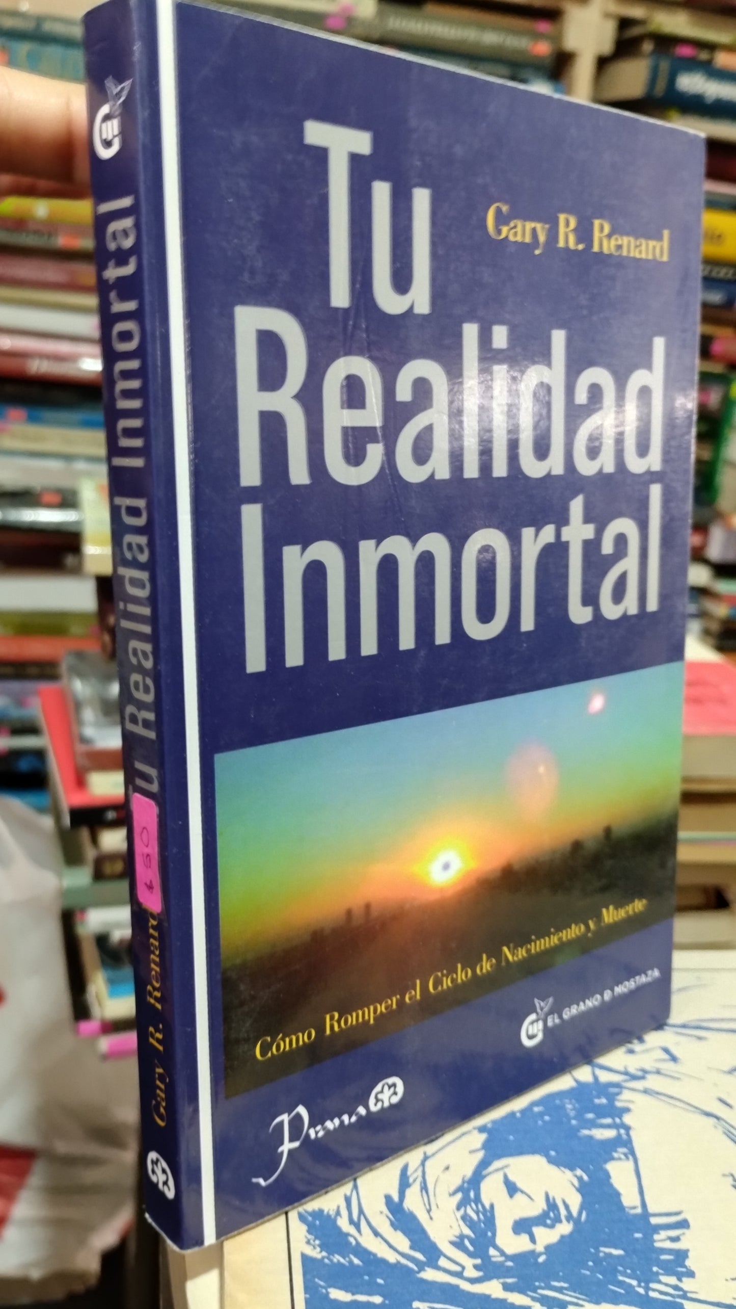 TU REALIDAD INMORTAL POR GARY R RENARD LIBRO USADO NOVELAS ALDAMA