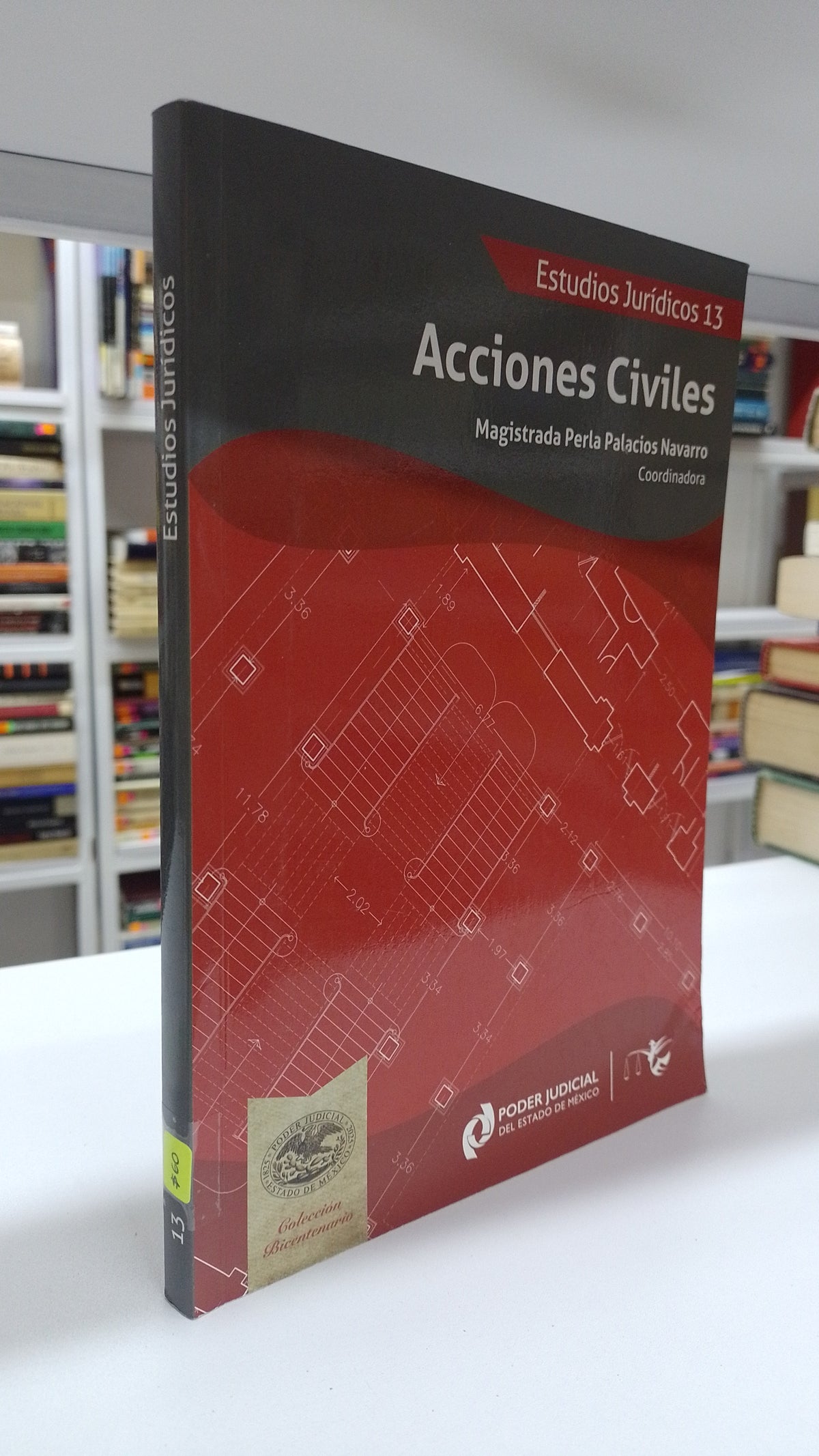 ESTUDIOS JURIDICOS 13 ACCIONES CIVILES POR PERLA PALACIOS NAVARRO USADO DERECHO JUAREZ 515