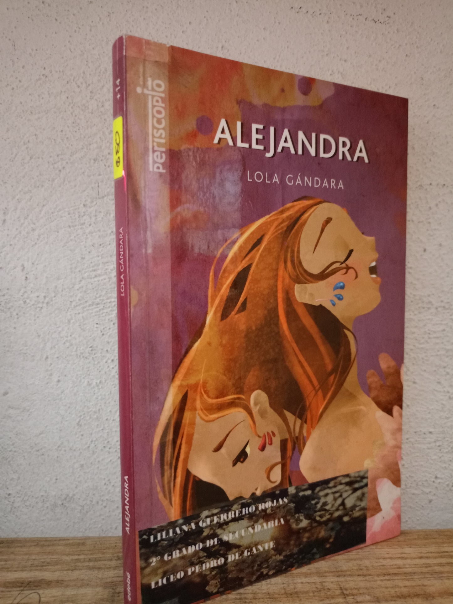 ALEJANDRA LOLA GANDARA USADO NOVELA LITERARIO 305