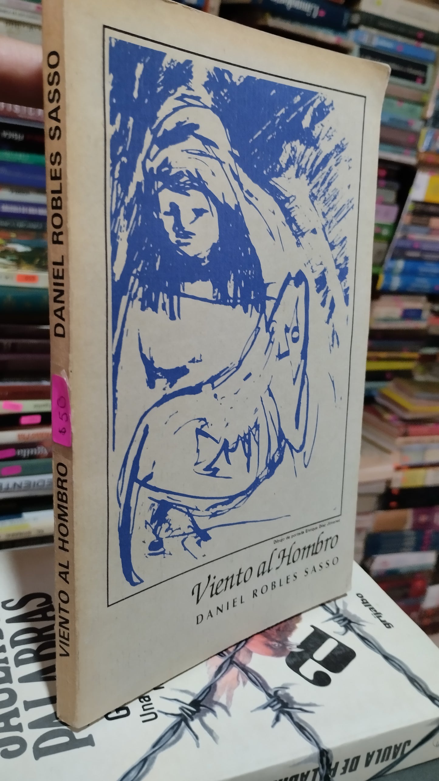 VIENTO AL HOMBRO POR DANIEL ROBLES SASSO LIBRO USADO NOVELAS ALDAMA