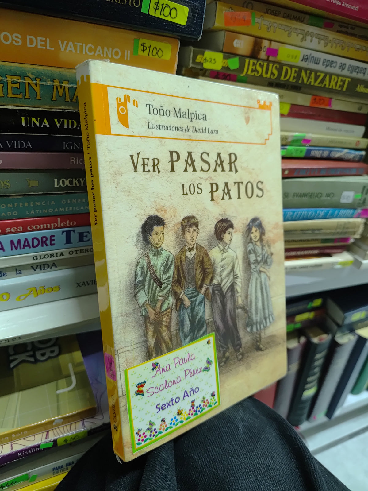 VER PASAR LOS PATOS POR TOÑO MALPICA USADO NOVELAS JUAREZ 515