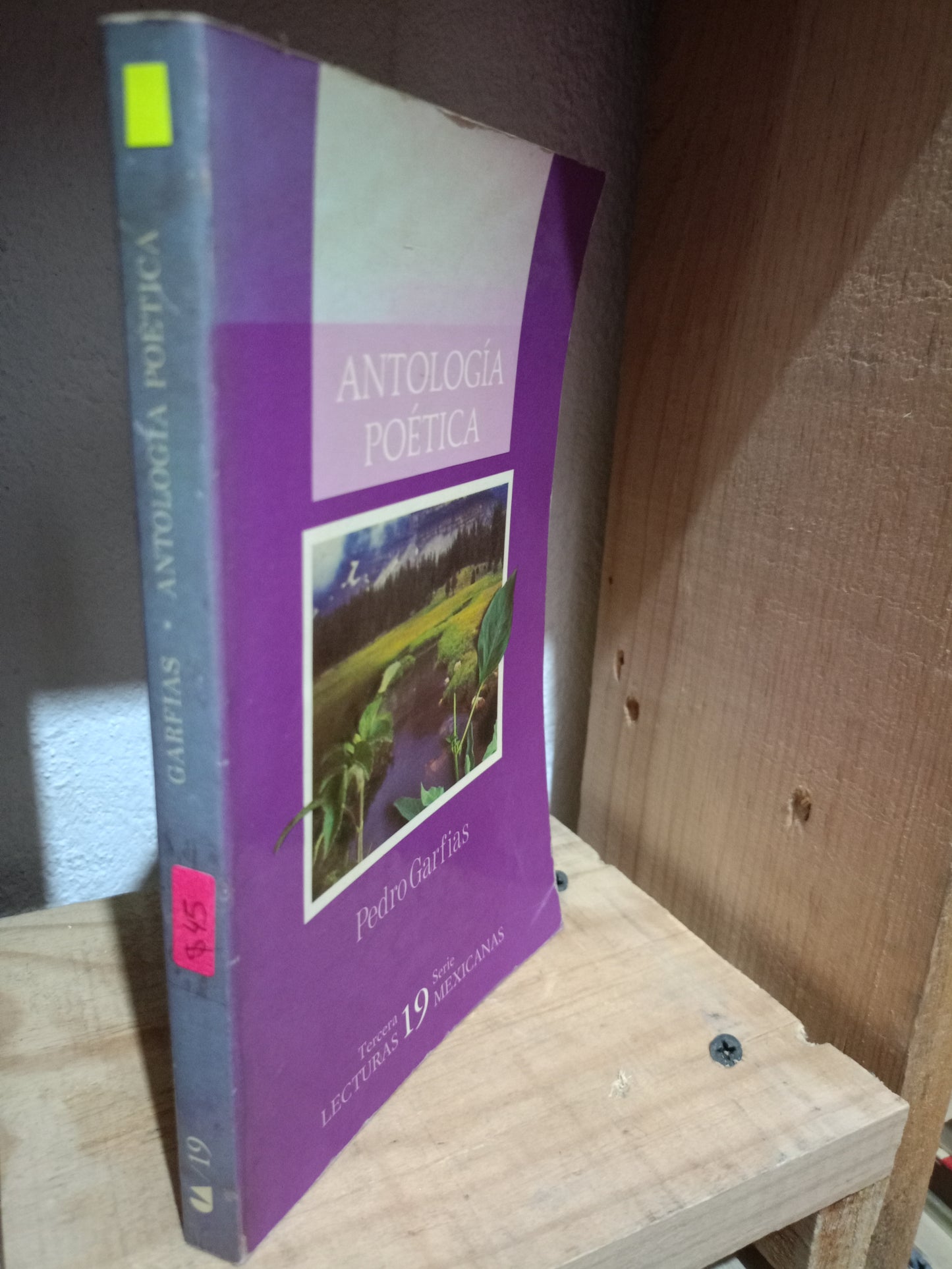 ANTOLOGIA POETICA POR PEDRO GARFIAS USADO POESIA LITERARIO #305