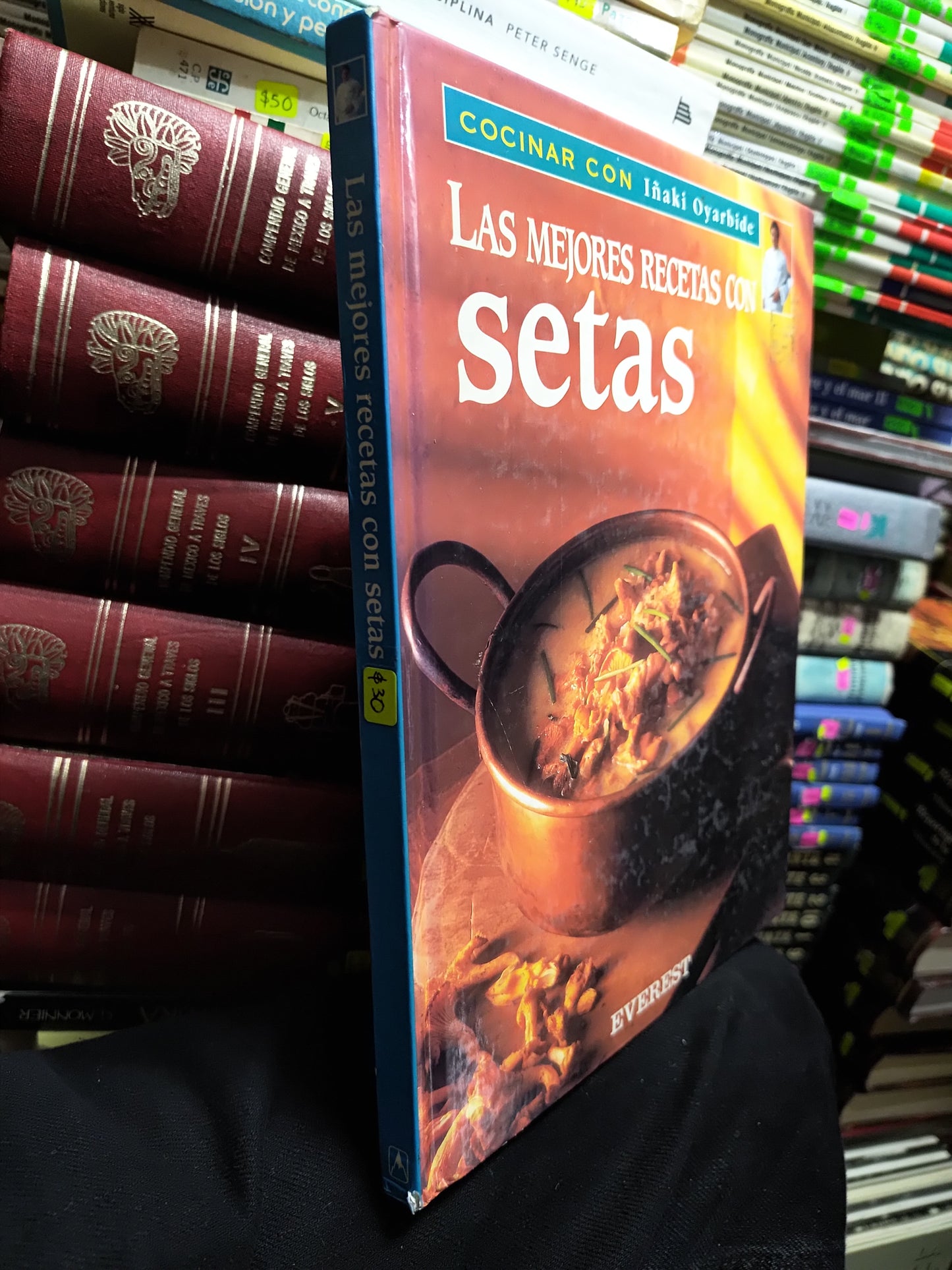 LAS MEJORES RECETAS CON SETAS POR IÑAKI OYARBIDE USADO COCINA JUAREZ 507