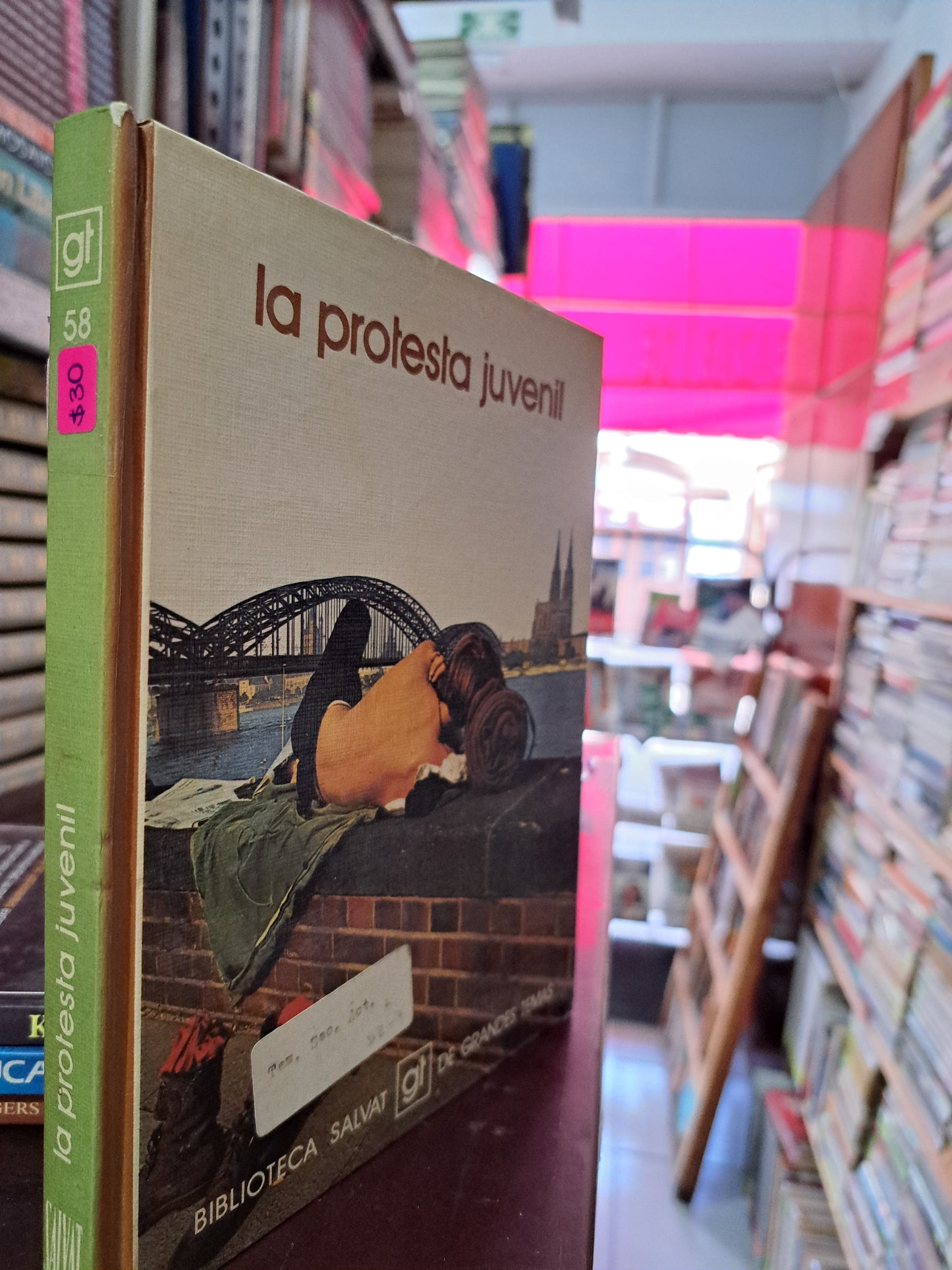 LA PROTESTA JUVENIL USADO PSICOLOGÍA LITERARIO 305