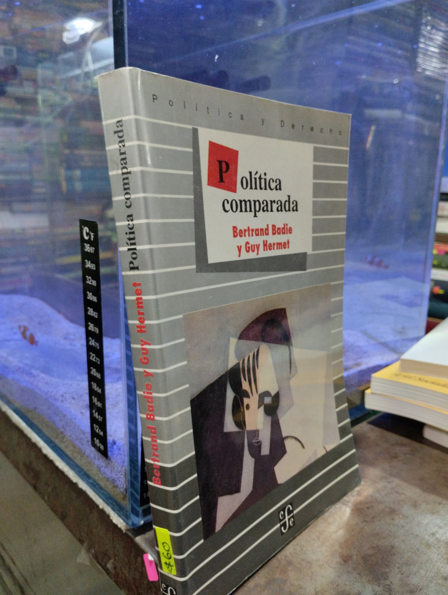 POLITICA COMPARADA PIT BERTRAND BADIE Y GUY HERMENT USADO POLITICA ALDAMA
