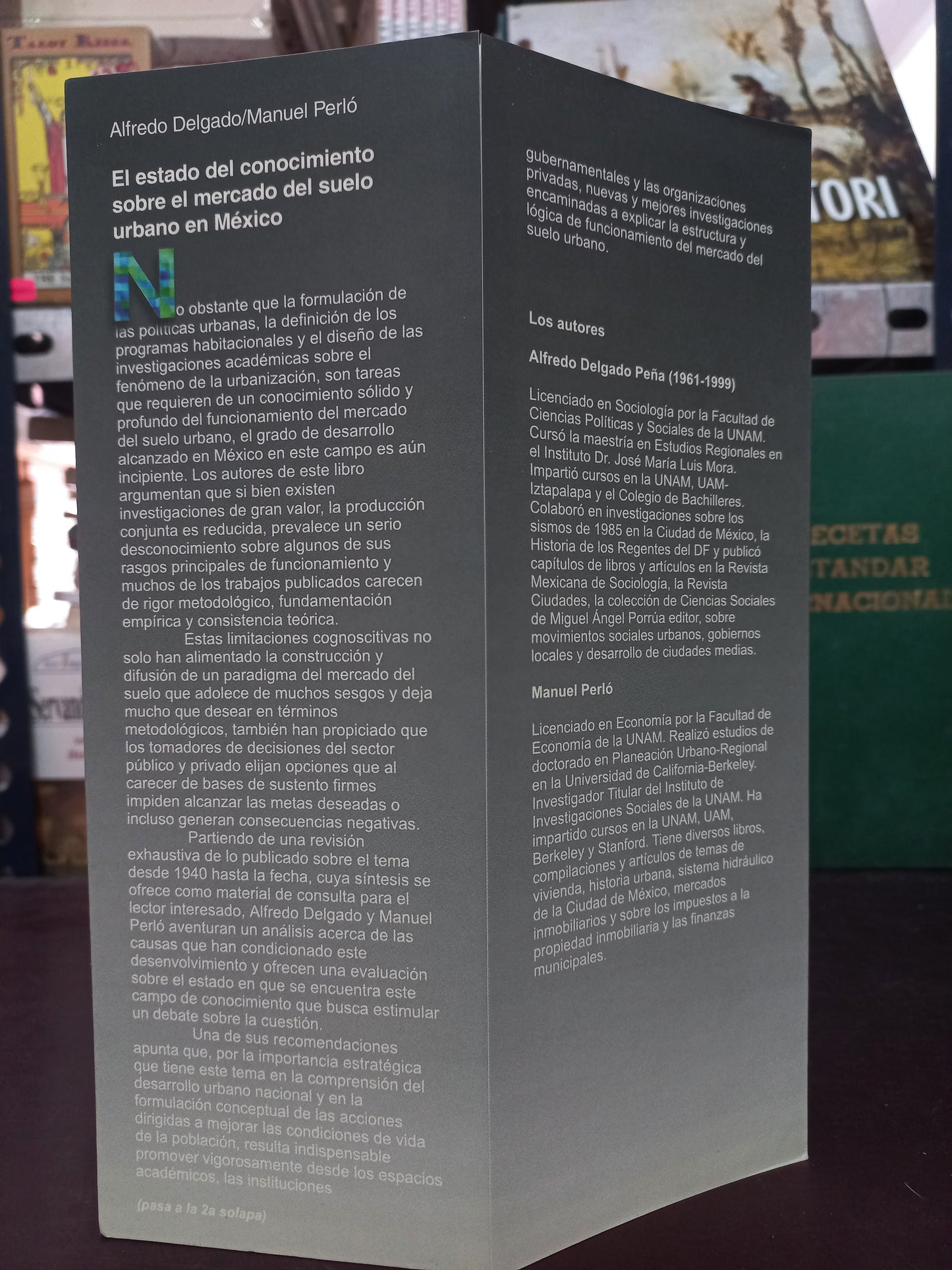 EL ESTADO DEL CONOCIMIENTO SOBRE EL MERCADO DEL SUELO URBANO EN MÉXICO POR ALFREDO DELGADO Y MANUEL PERLÓ USADO HISTORIA LITERARIO 305