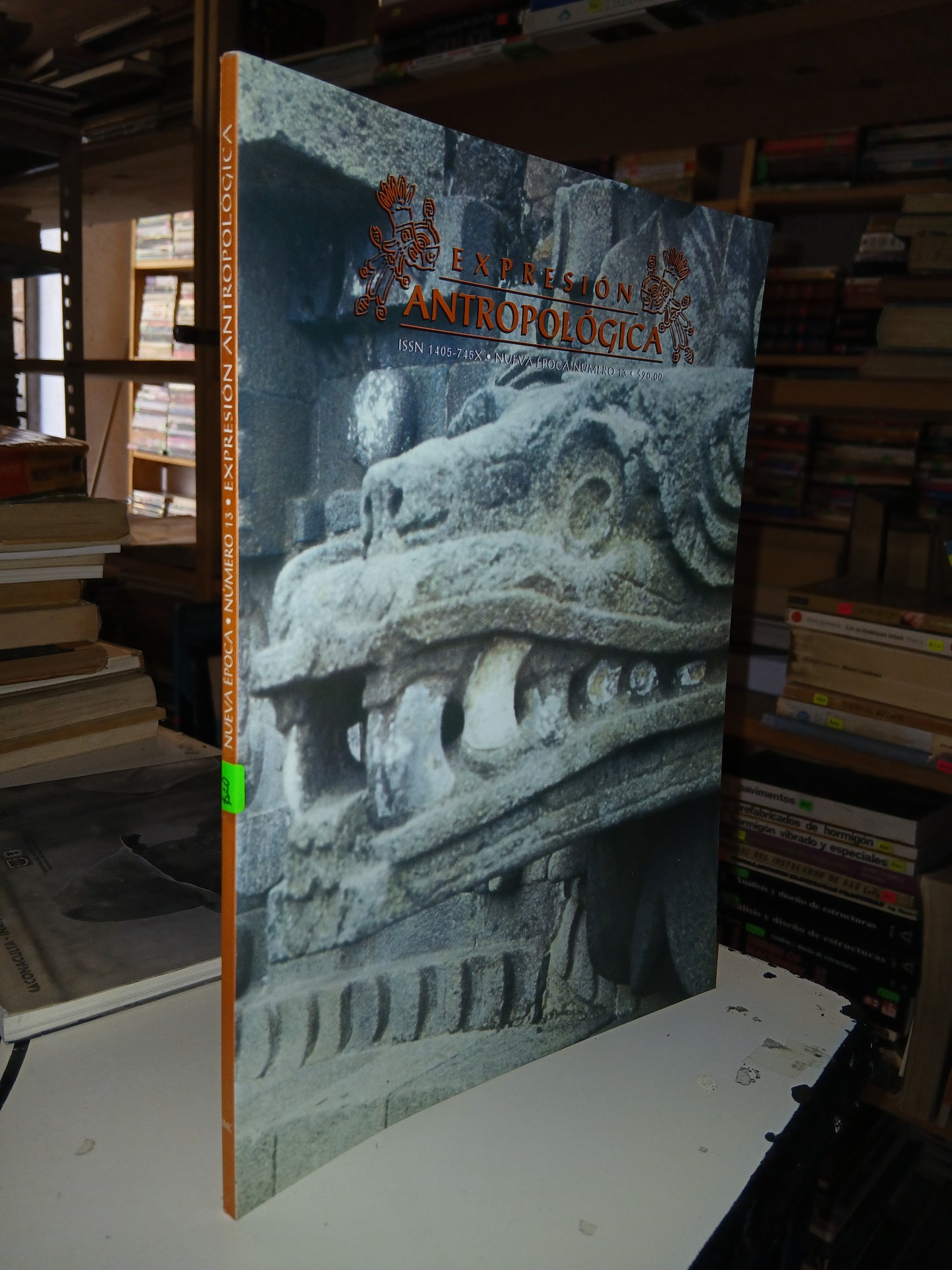 EXPRESIÓN ANTROPOLÓGICA N° 13 (VARIOS AUTORES) USADO ANTROPOLOGÍA LITERARIO 207