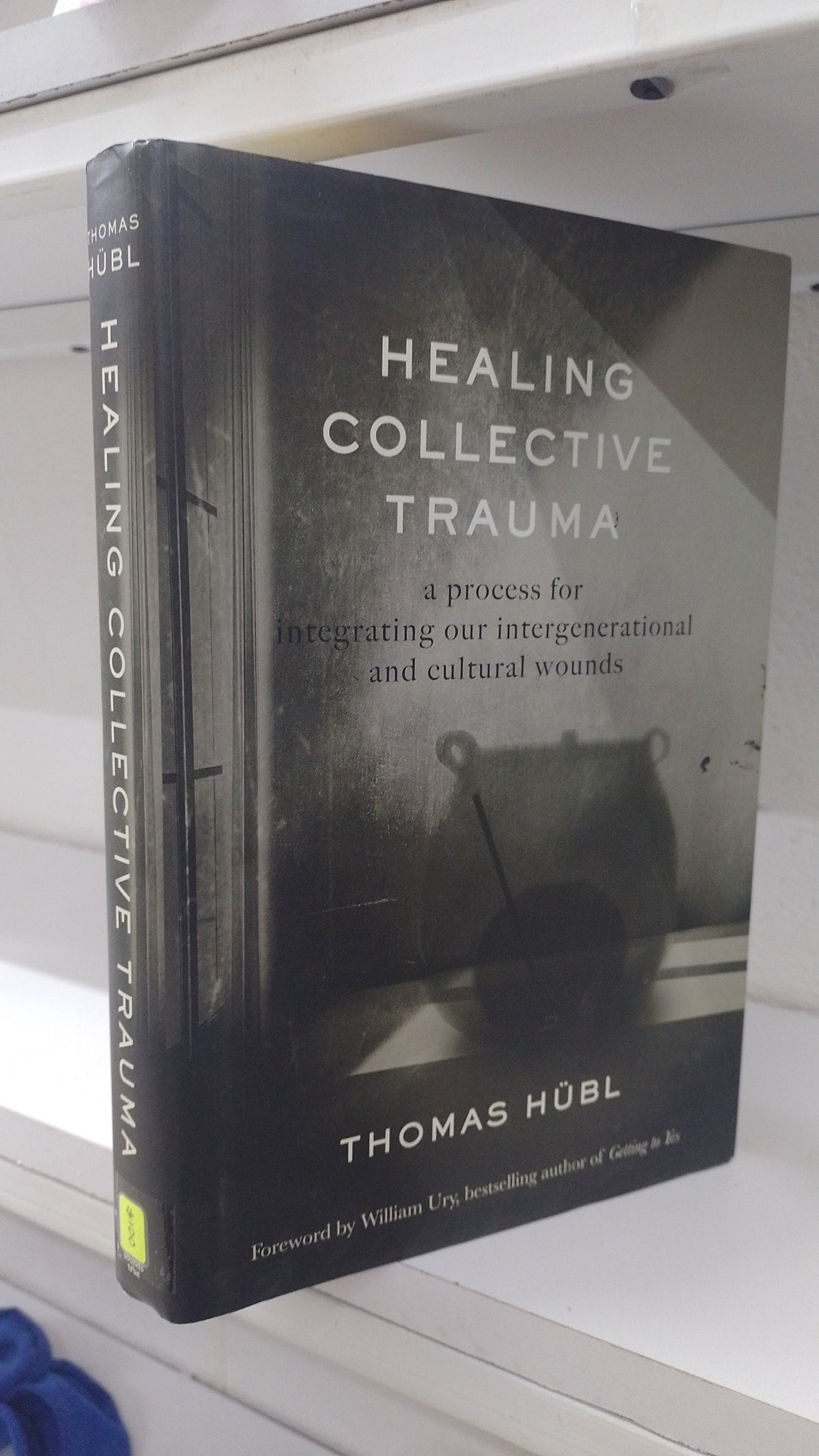 HEALING COLLECTIVE TRAUMA POR POR THOMAS HUBL USADO IDIOMAS JUAREZ 515