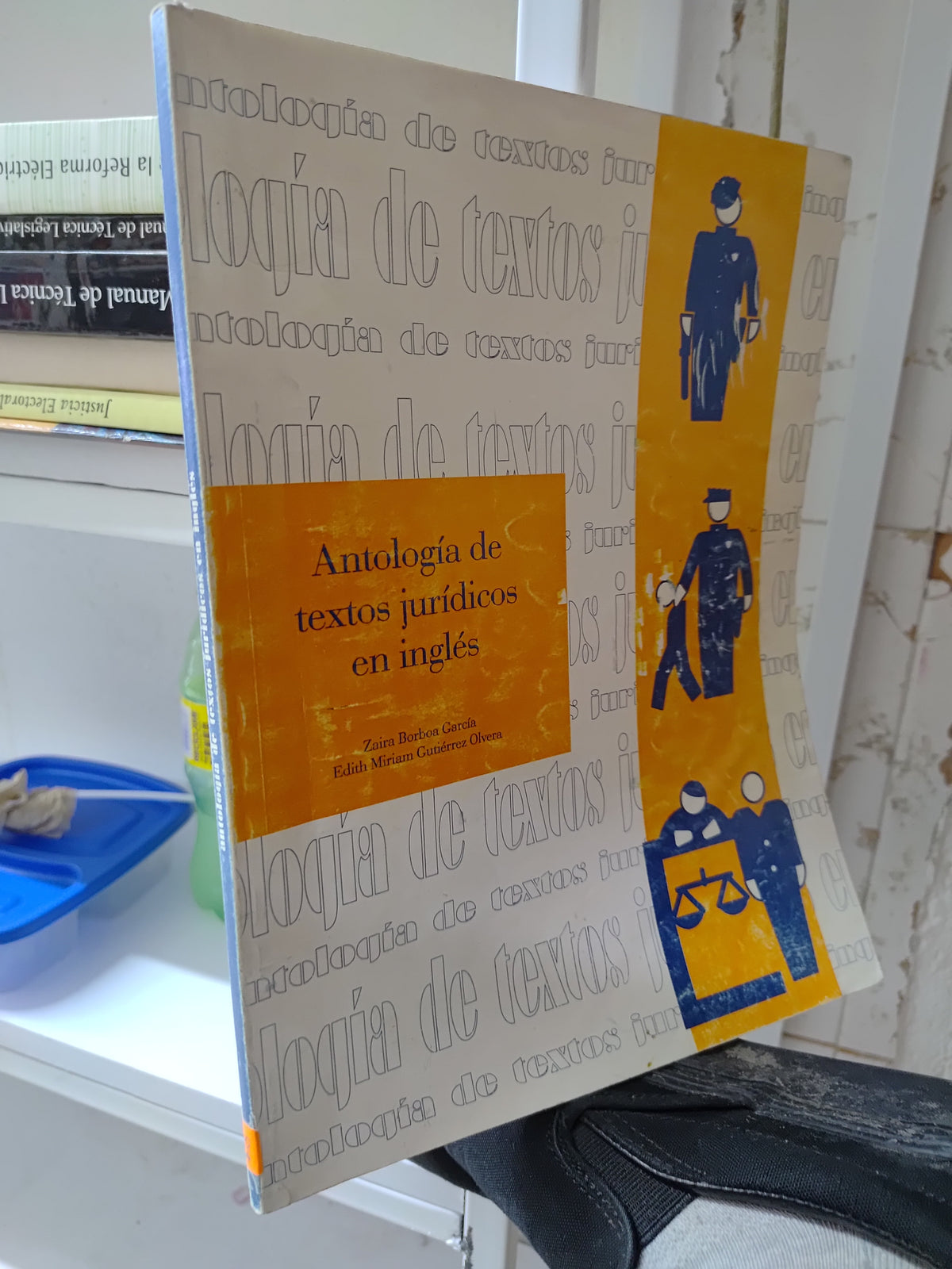 ANTOLOGIA DE TEXTOS JURIDICOS EN INGLES POR ZAIRA BORBOA GARCIA USADO DERECHO JUAREZ 515
