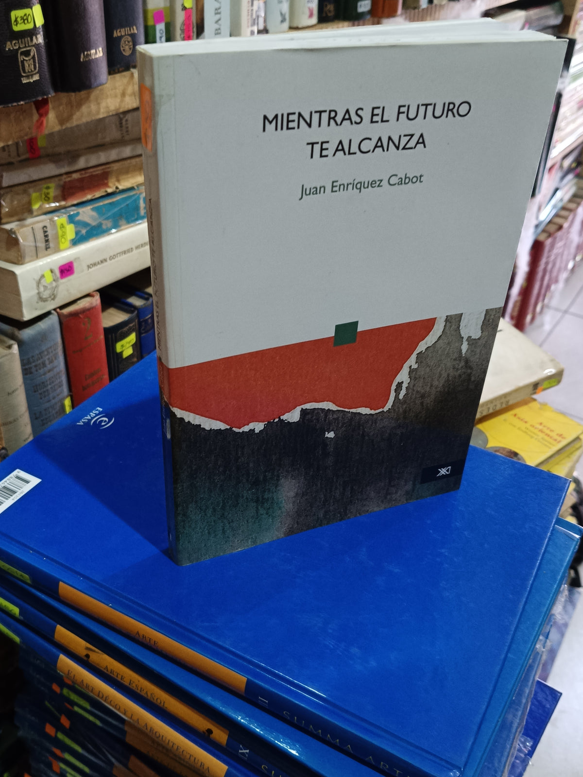 MIENTRAS EL FUTURO TE ALCANZA JUAN ENRIQUEZ CABOT SOCIOLOGIA USADO LITERARIO 305