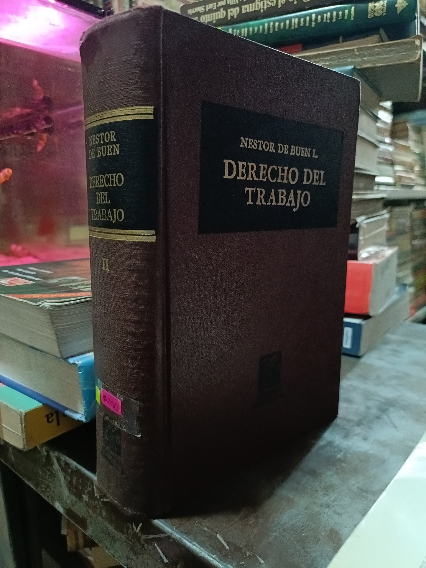 DERECHO DEL TRABAJO II POR NESTOR DE BUEN L USADO DERECHO ALDAMA
