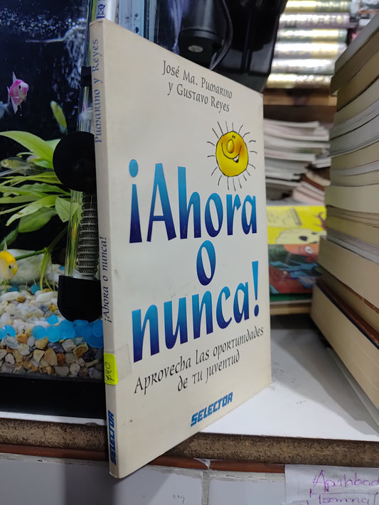 AHORA O NUNCA POR JOSE MA. PUMARINO USADO INFANTILES JUAREZ 507
