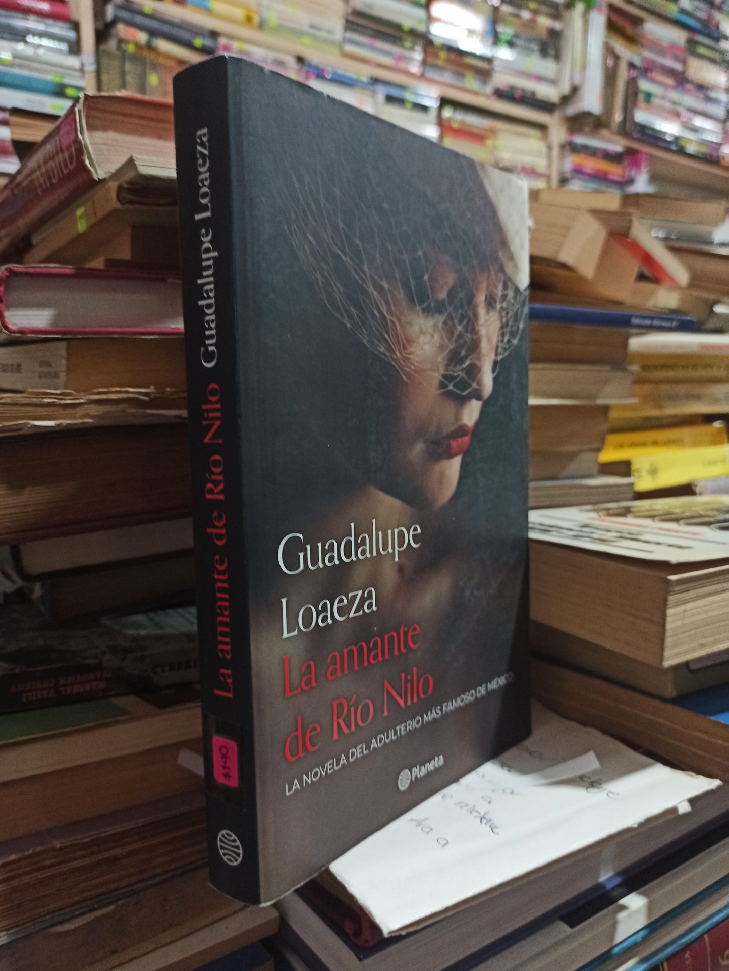 LA AMANTE DEL RÍO NILO POR GUADALUPE LOAEZA USADO NOVELAS ALDAMA
