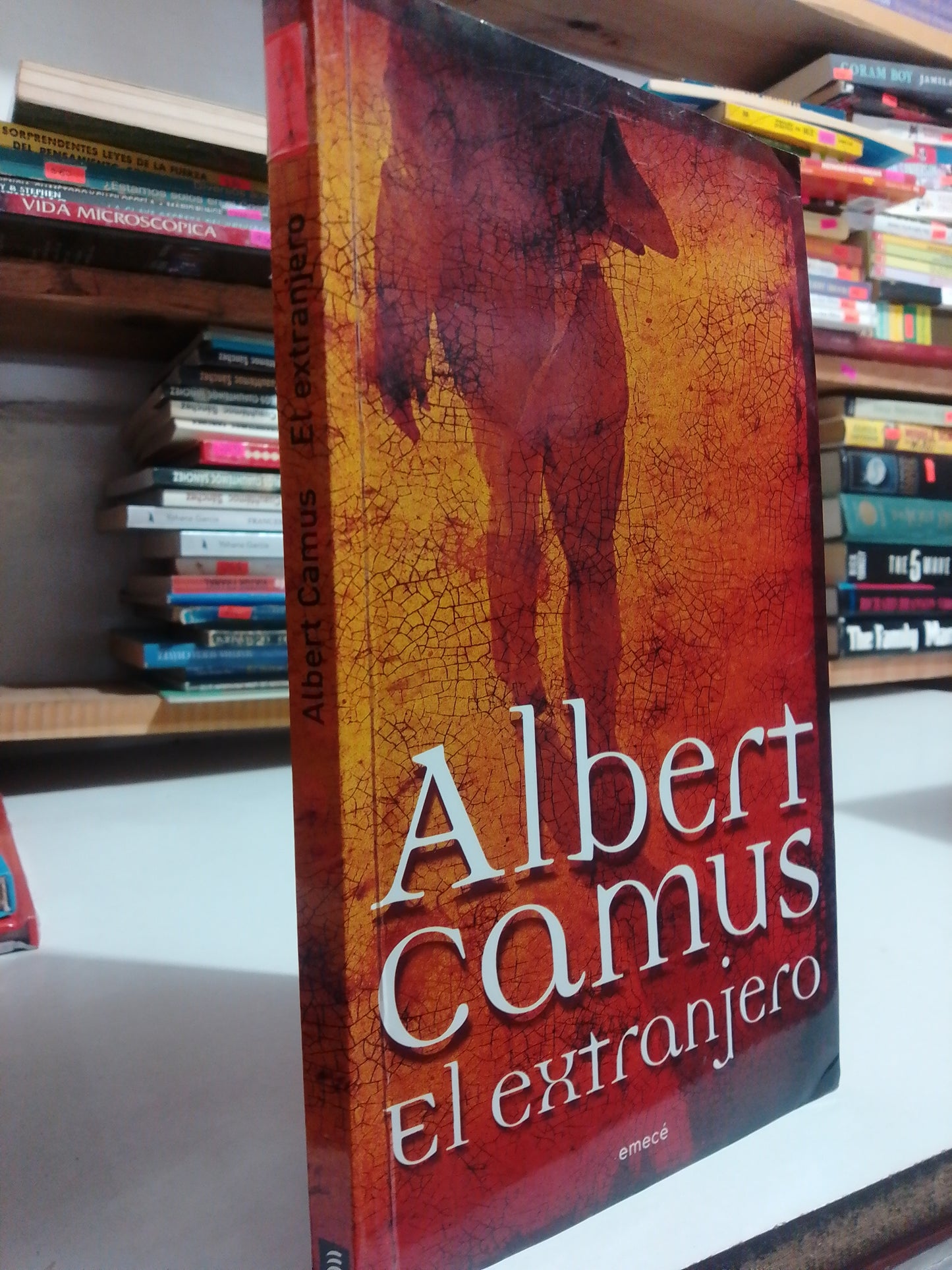 EL EXTRANJERO POR ALBERT CAMUS USADO NOVELA JUÁREZ