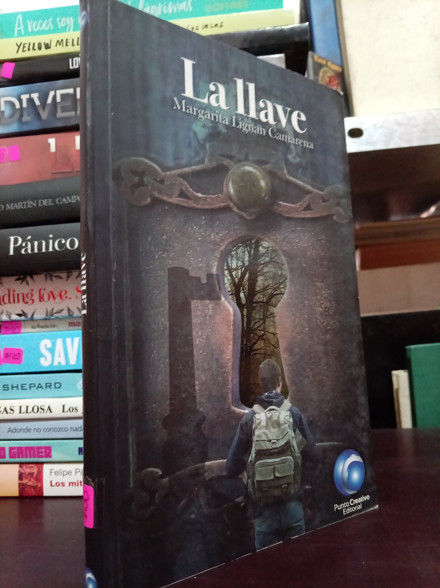 LA LLAVE POR MARGARITA LIGAN CAMARENA USADO NOVELA LITERARIO 305