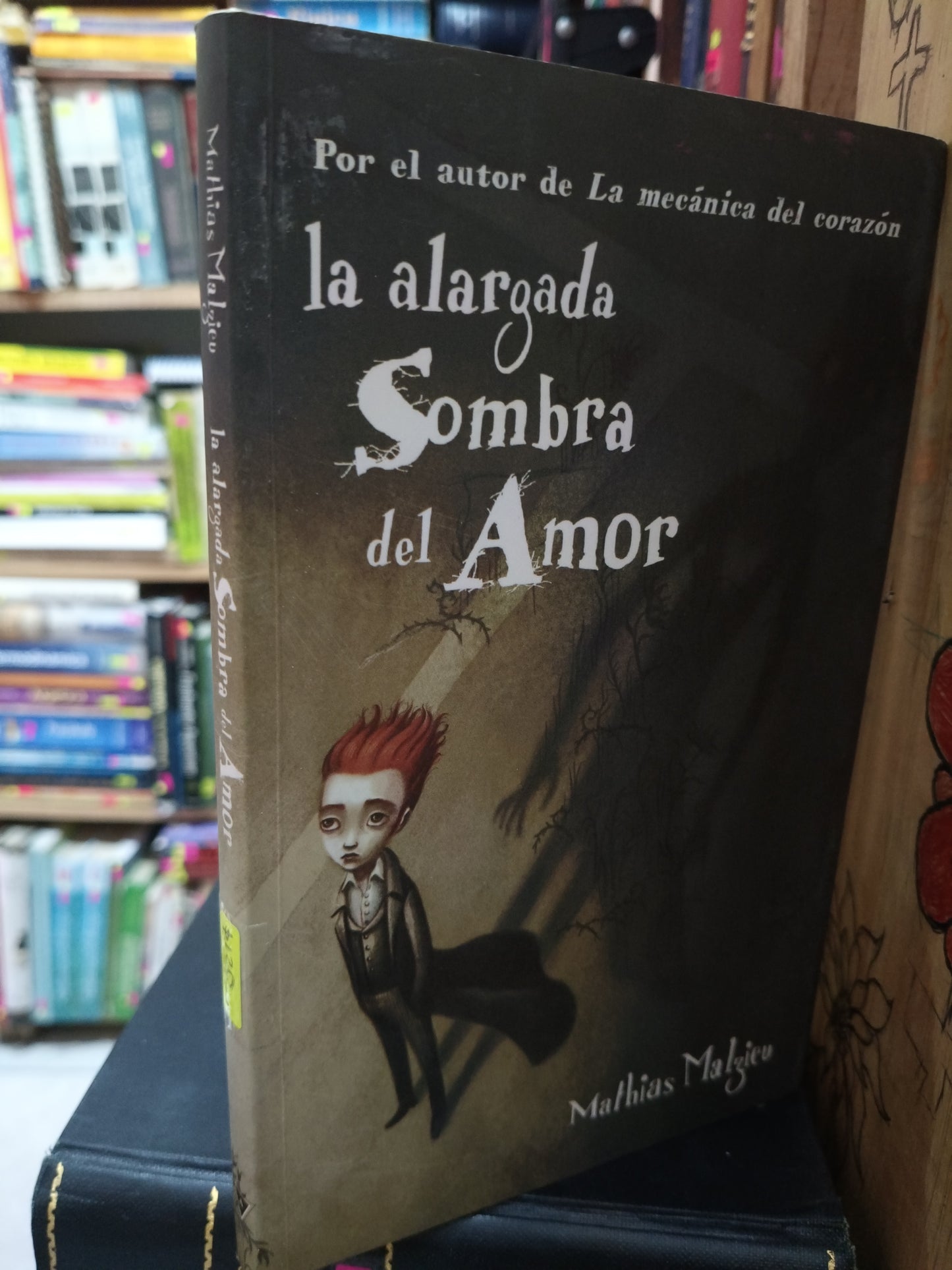 LA ALARGADA SOMBRA DEL AMOR MATHIAS MALZIEU USADO NOVELA LITERARIO 305