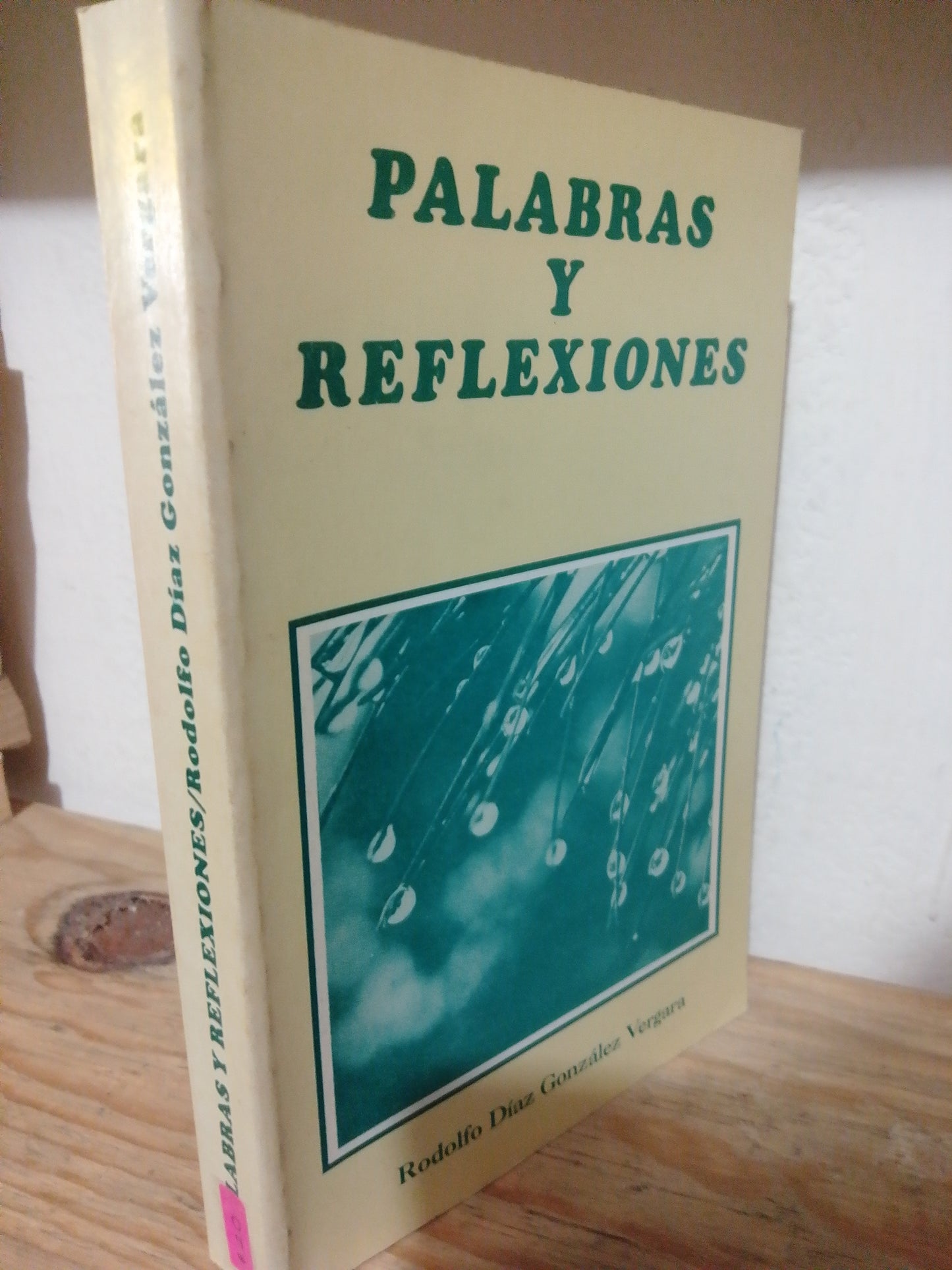 PALABRAS Y REFLEXIONES POR RODOLFO DIAZ GONZALEZ USADO PSICOLOGIA JUAREZ