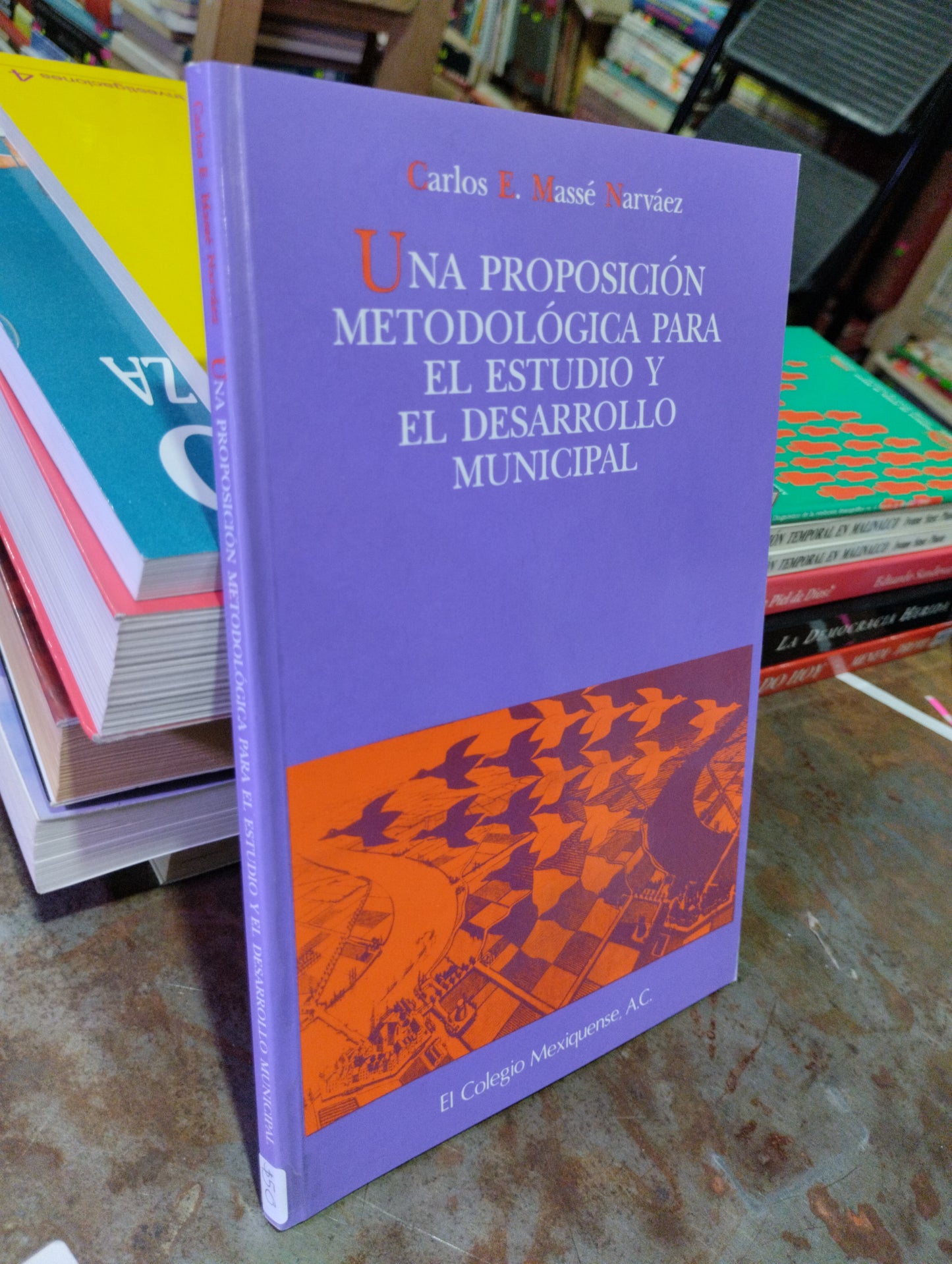 UNA PROPOSICION METODOLOGICA PARA EL ESTUDIO Y EL DESARROLLO MUNICIPAL USADO HISTORIA ALDAMA