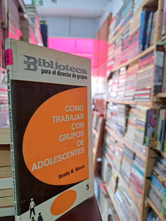 CÓMO  TRABAJAR CON GRUPOS DE ADOLESCENTES DOROTHY M.ROBERTS USADO PSICOLOGÍA LITERARIO 305
