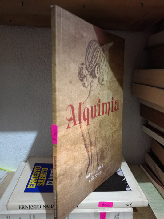 ALQUIMIA POR ADRIAN GARCIA VELAZQUEZ USADO POESIA LITERARIO 305