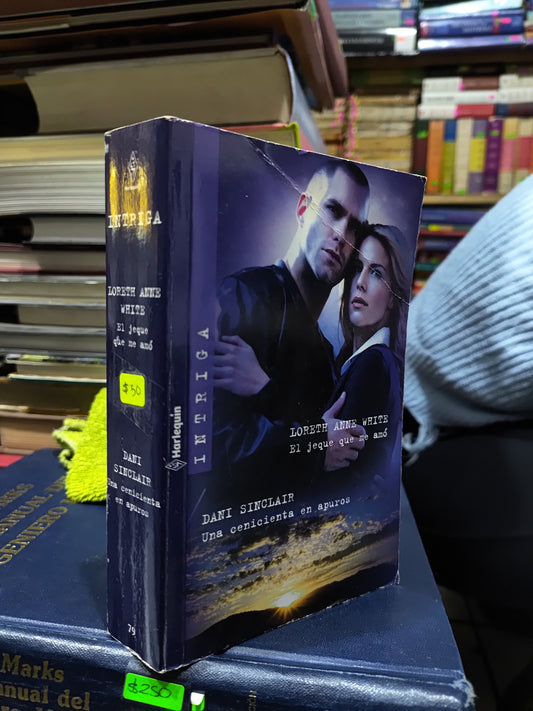 EL JEQUE QUE ME AMO Y UNA CENICIENTA EN APUROS POR VARIOS AUTORES USADO NOVELAS JUAREZ 507