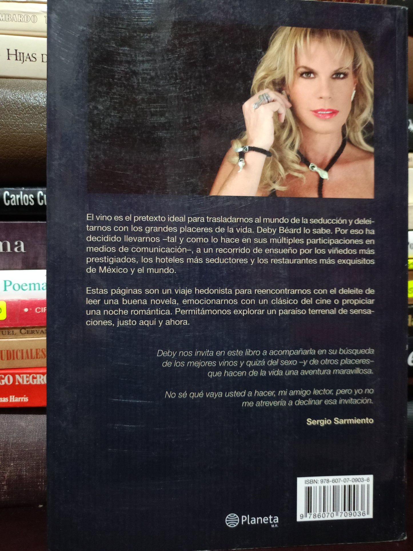 VINO SEXO Y OTROS PLACERES DEBY BEARD USADO NOVELA LITERARIO 305