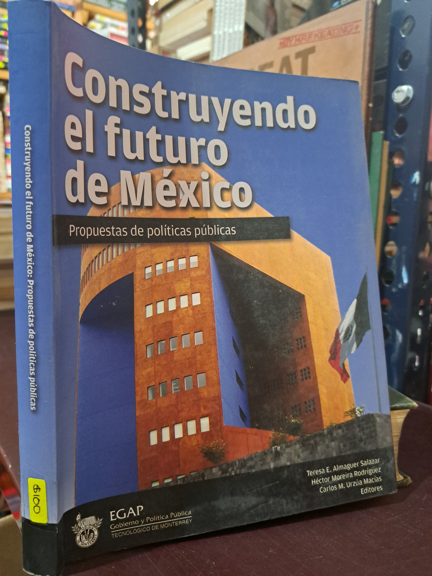 CONSTRUYENDO EL FUTURO DE MÉXICO PROPUESTAS DE POLÍTICAS PÚBLICAS TERESA E. ALMAGUER SALAZAR ET.AL USADO DERECHO LITERARIO 305