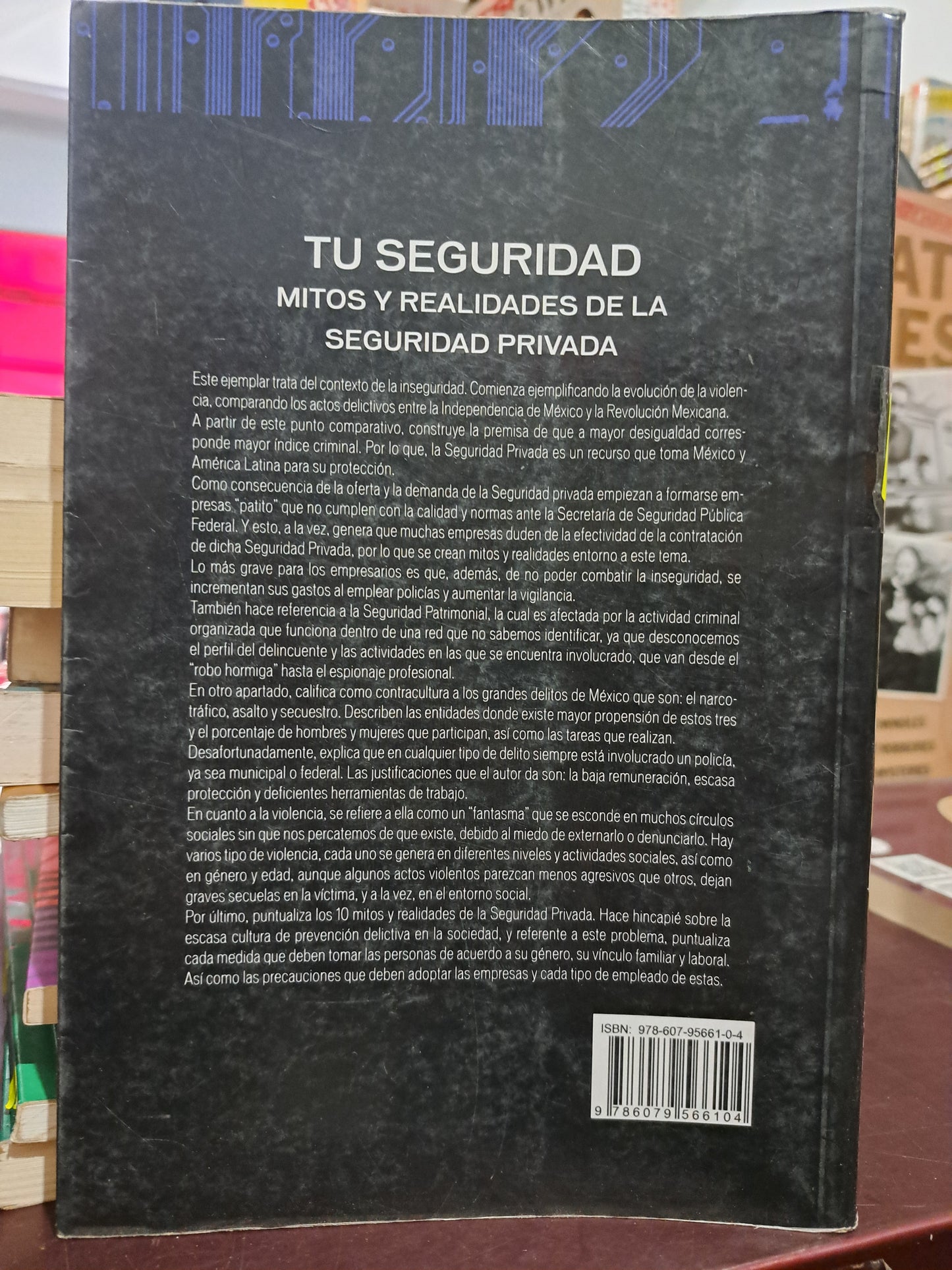 TU SEGURIDAD MITOS Y REALIDADES DE LA SEGURIDAD PRIVADA ALEJANDRO DESFASSIAUX USADO DERECHO LITERARIO 305